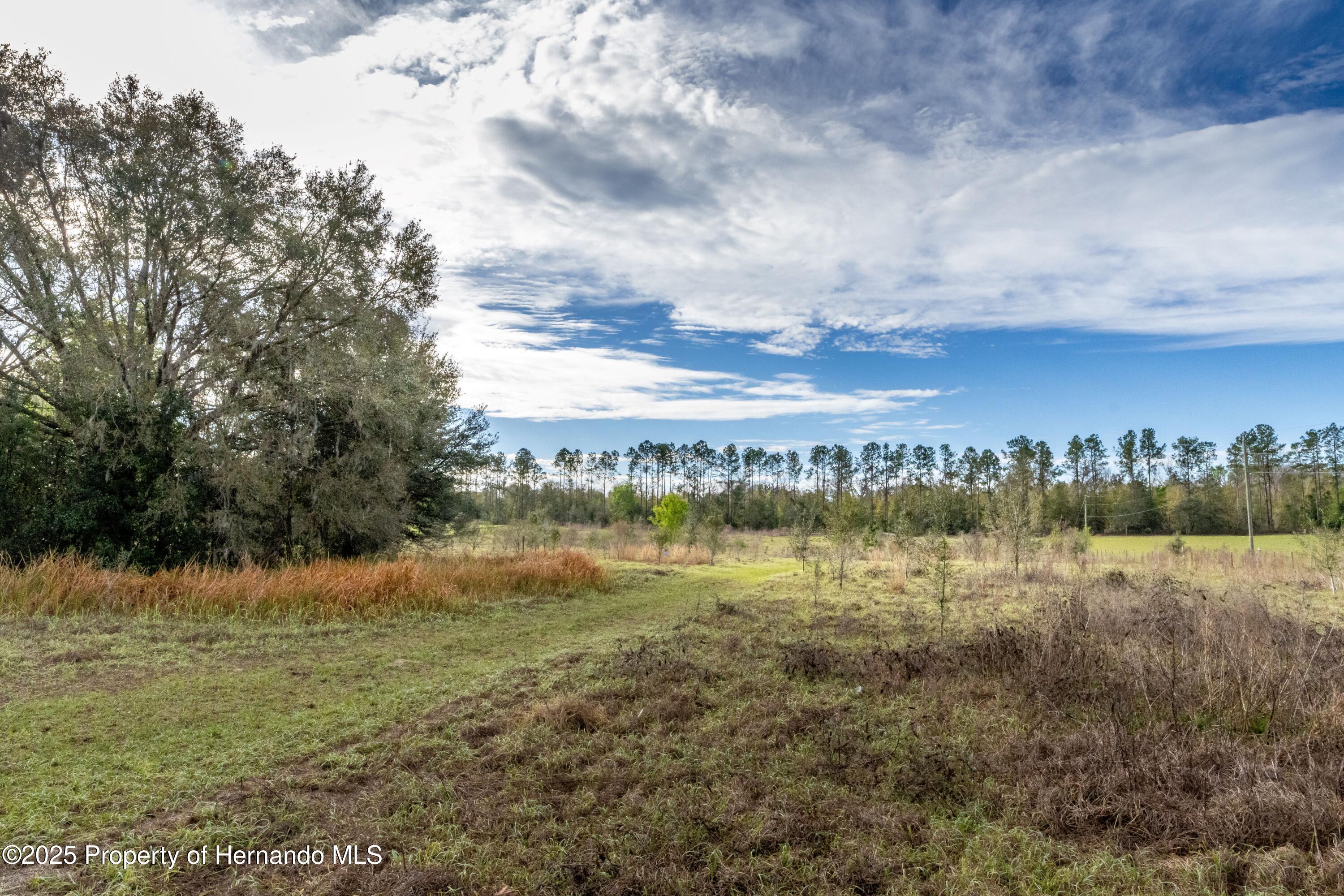 Atlantis Lane, Brooksville, Florida image 25