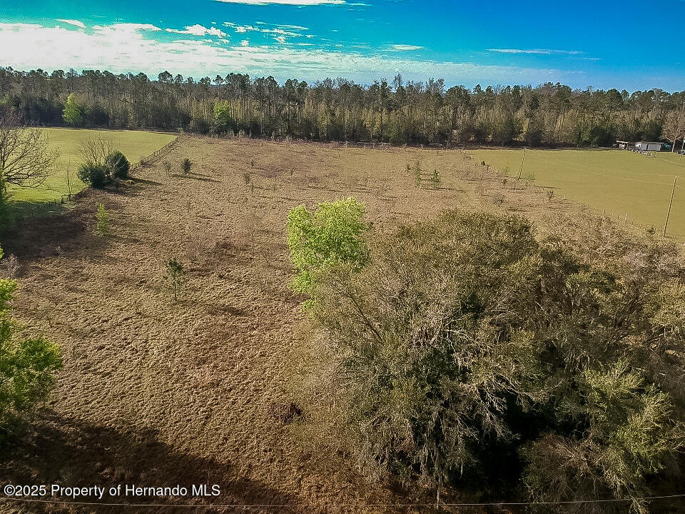 Atlantis Lane, Brooksville, Florida image 38