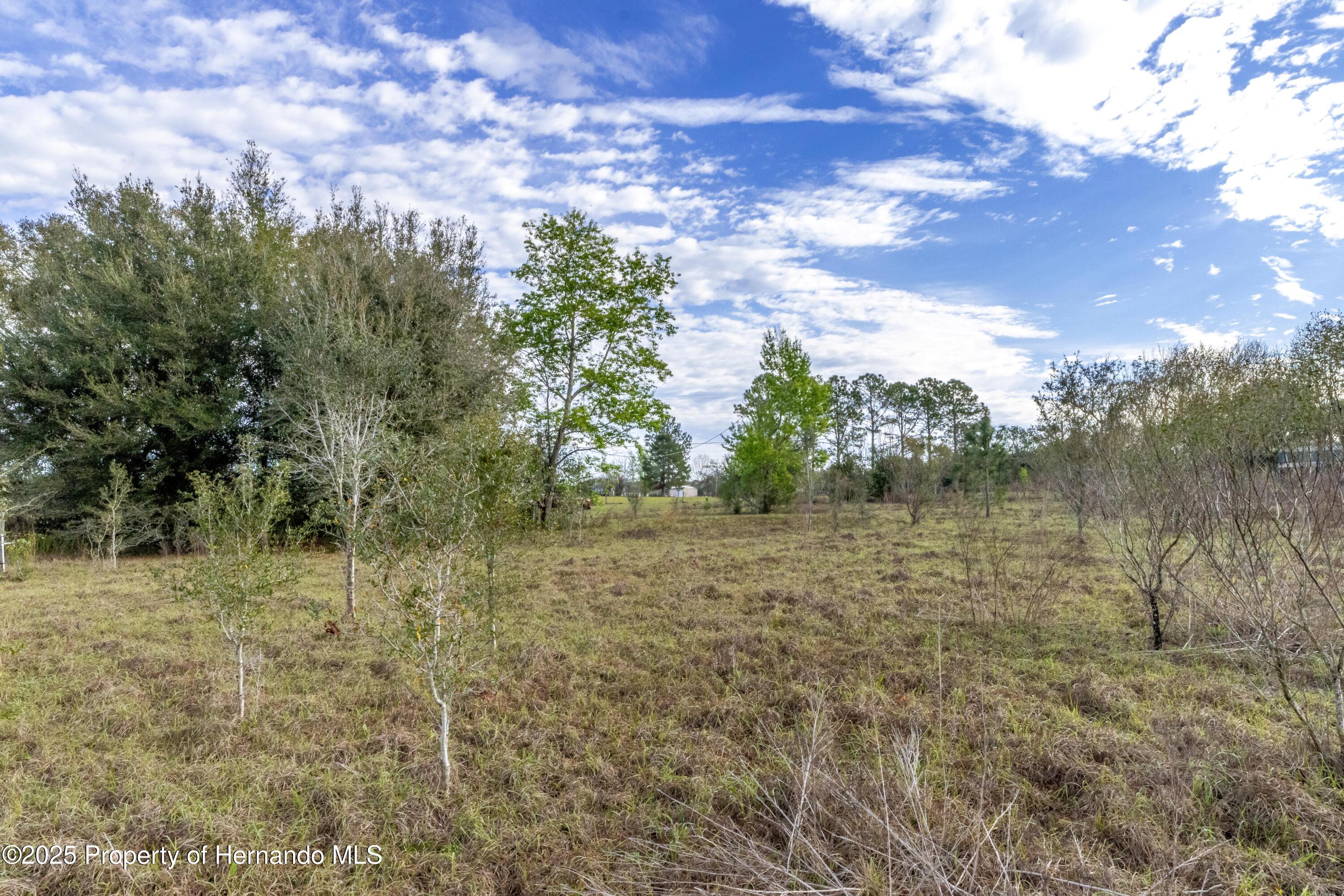 Atlantis Lane, Brooksville, Florida image 8