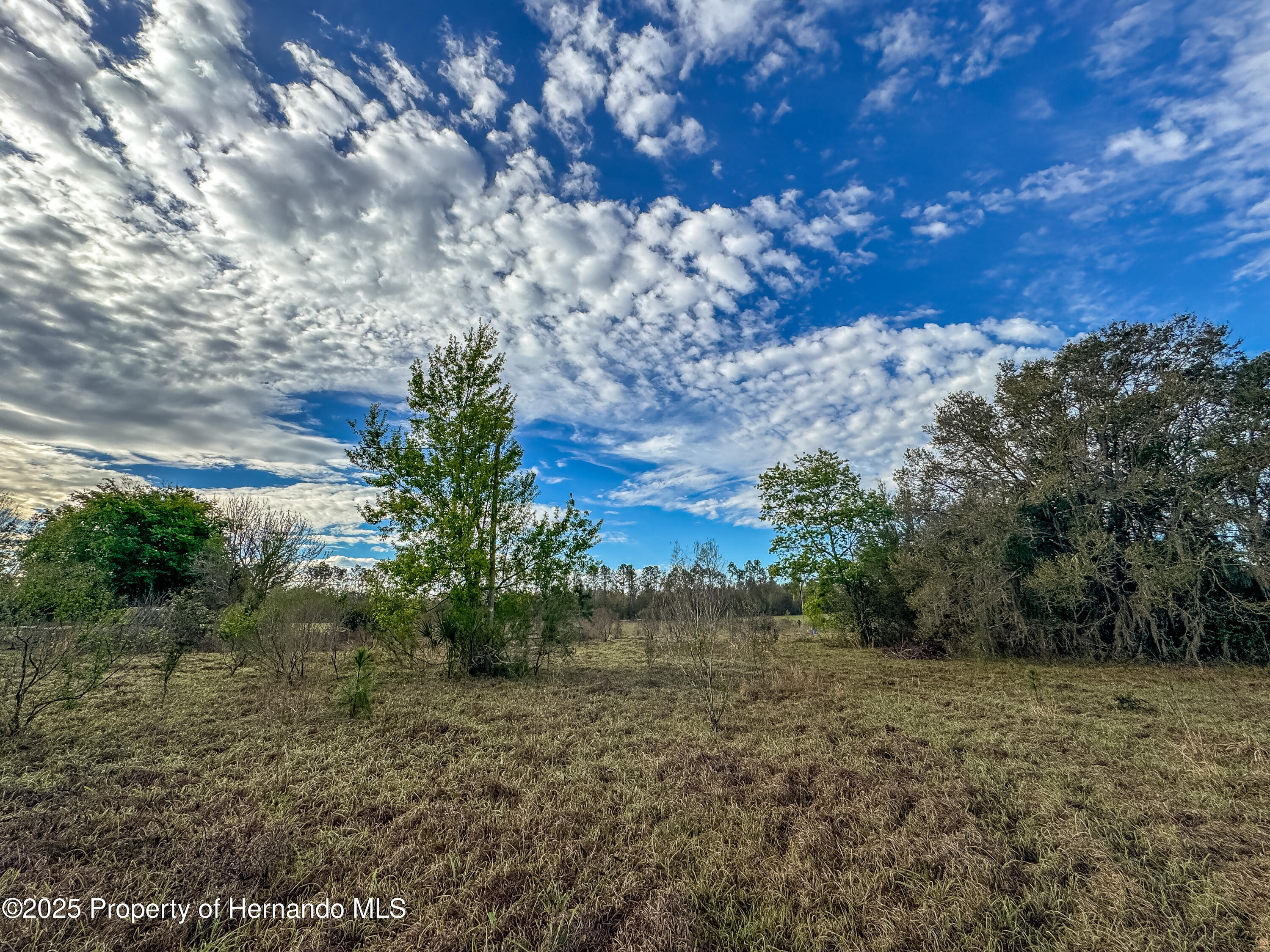 Atlantis Lane, Brooksville, Florida image 1