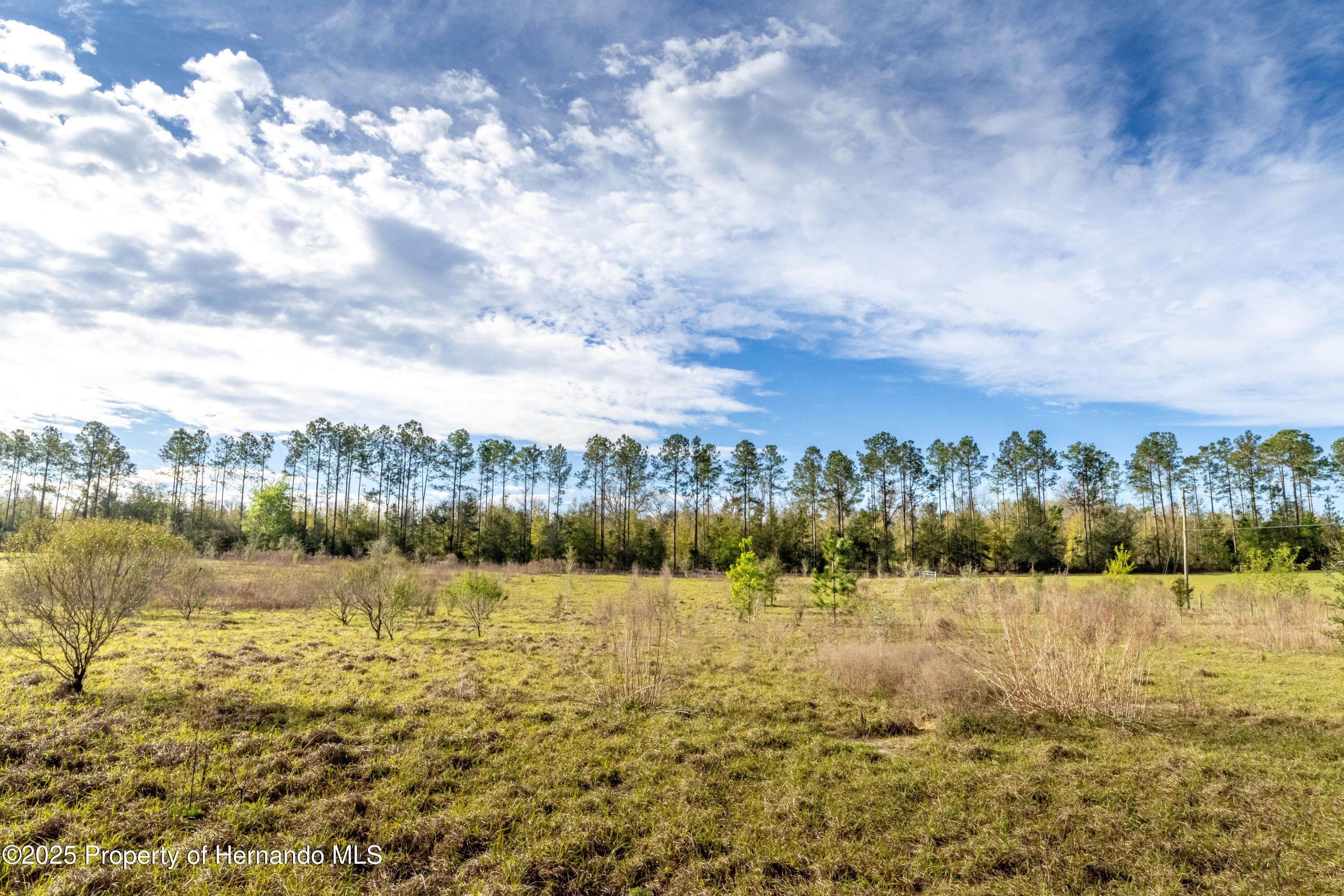 Atlantis Lane, Brooksville, Florida image 12