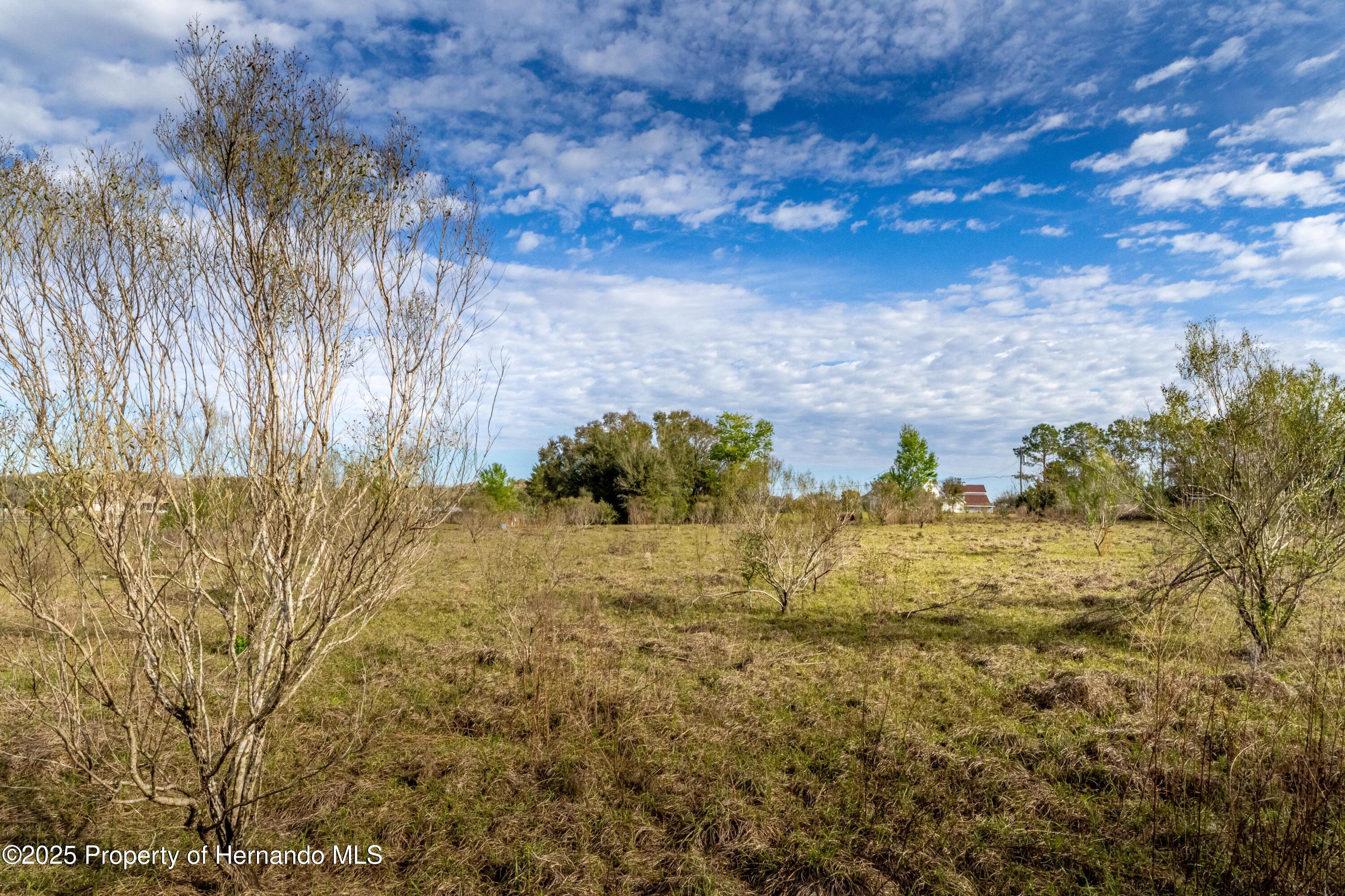 Atlantis Lane, Brooksville, Florida image 16