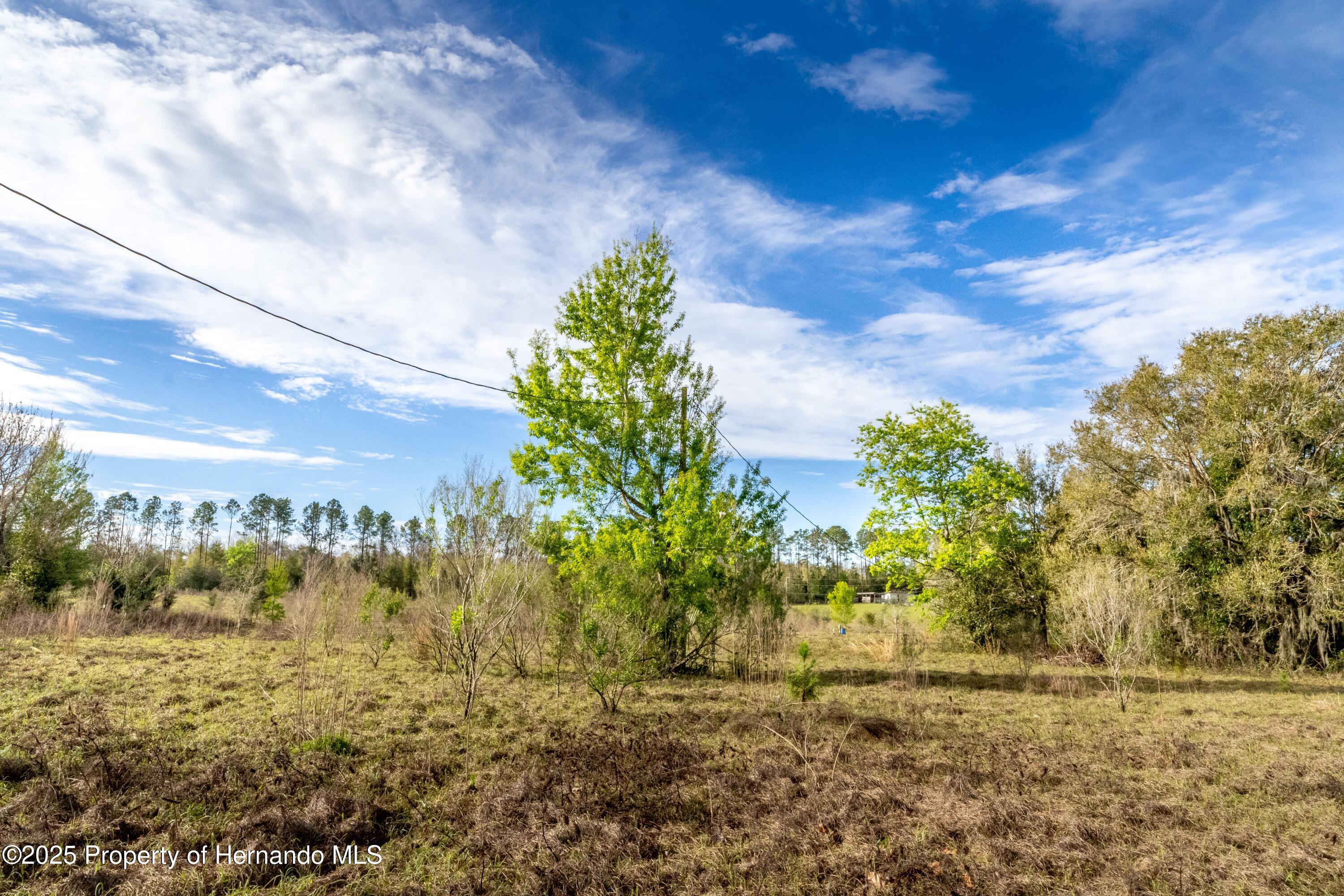 Atlantis Lane, Brooksville, Florida image 21