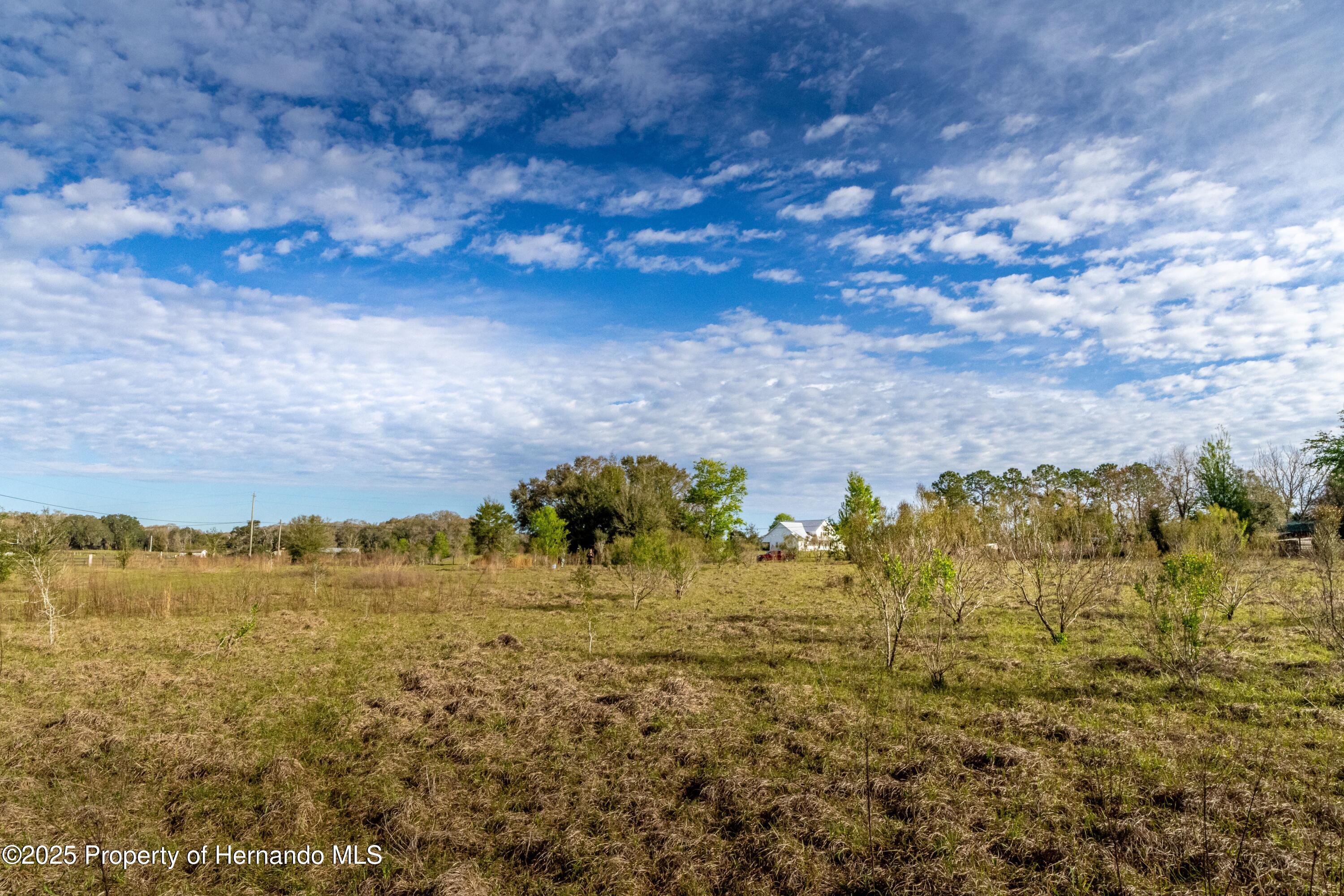 Atlantis Lane, Brooksville, Florida image 13