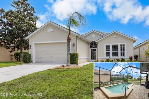 9020 Penelope Drive Weeki Wachee FL 34613