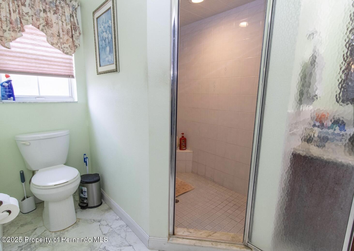 22106 Garmisch Way, Brooksville, Florida image 46