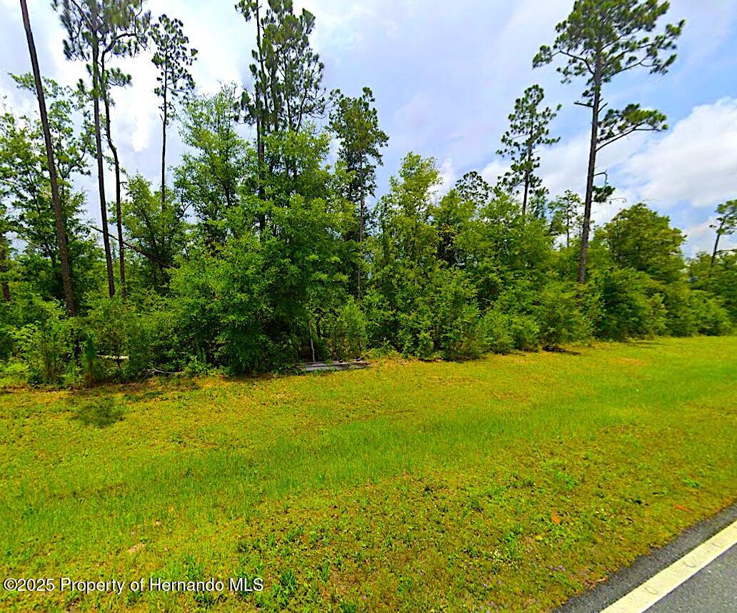 000 Fairview Road, Alford, Florida image 1