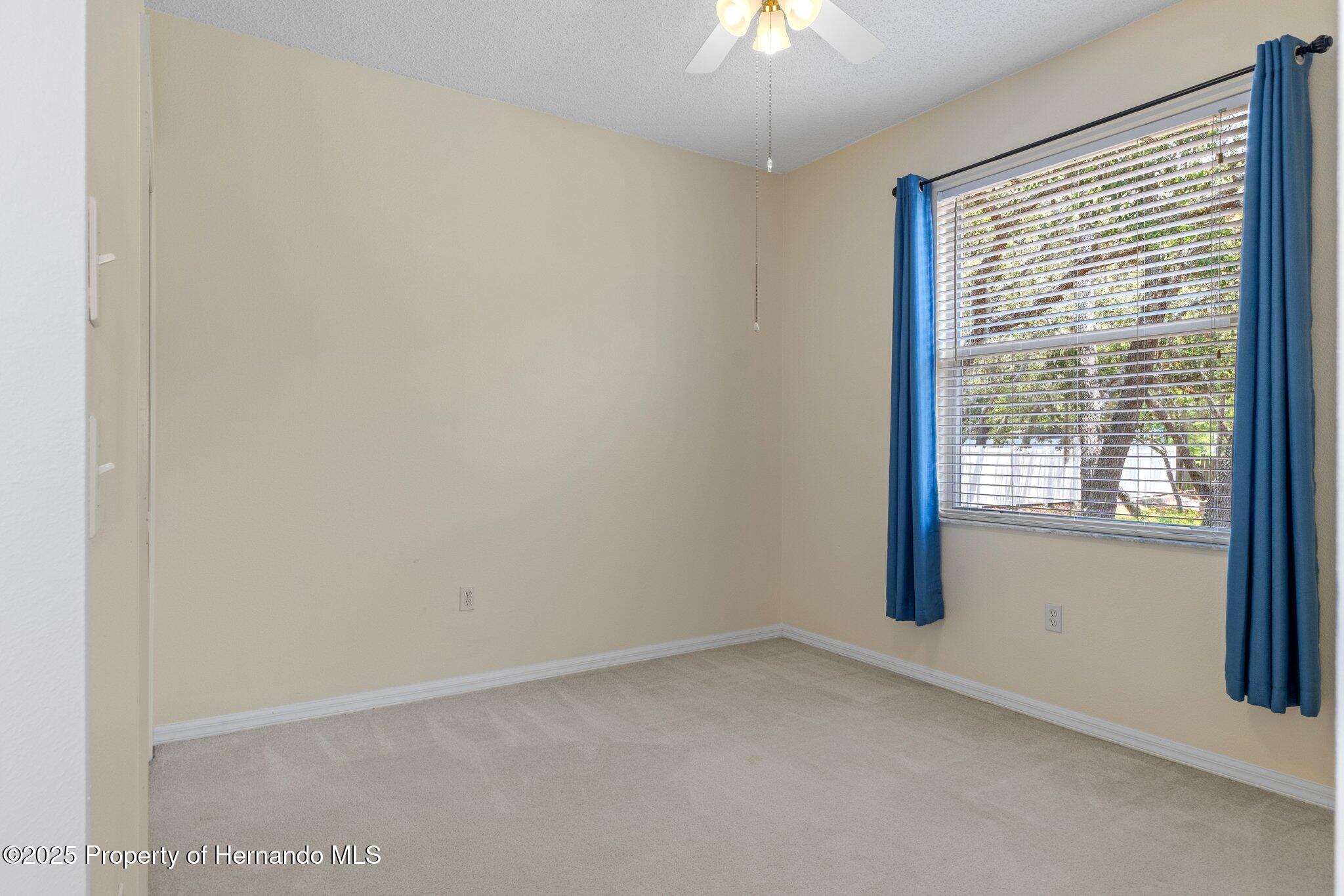 8382 Christopher Lane, Brooksville, Florida image 25
