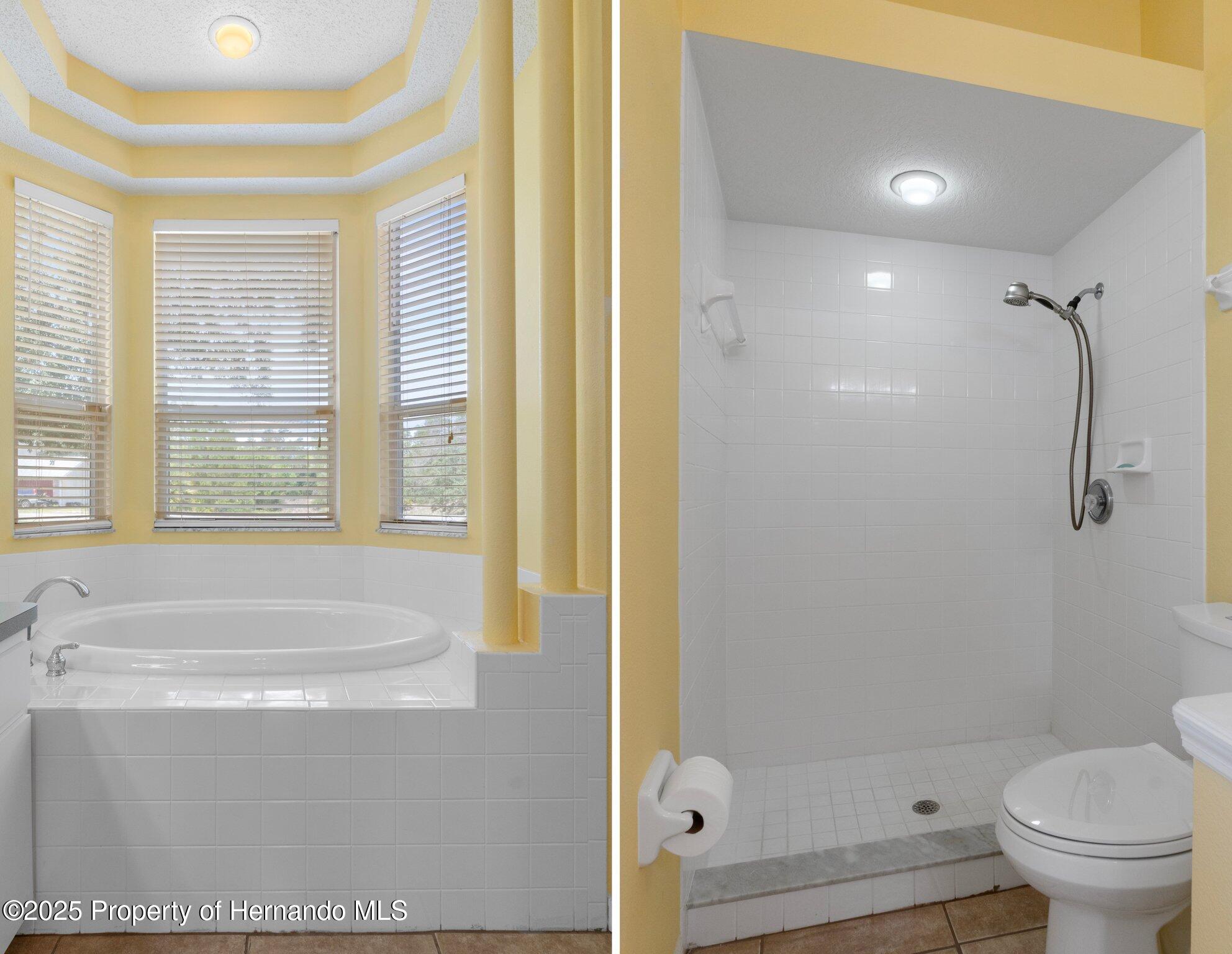 8382 Christopher Lane, Brooksville, Florida image 35