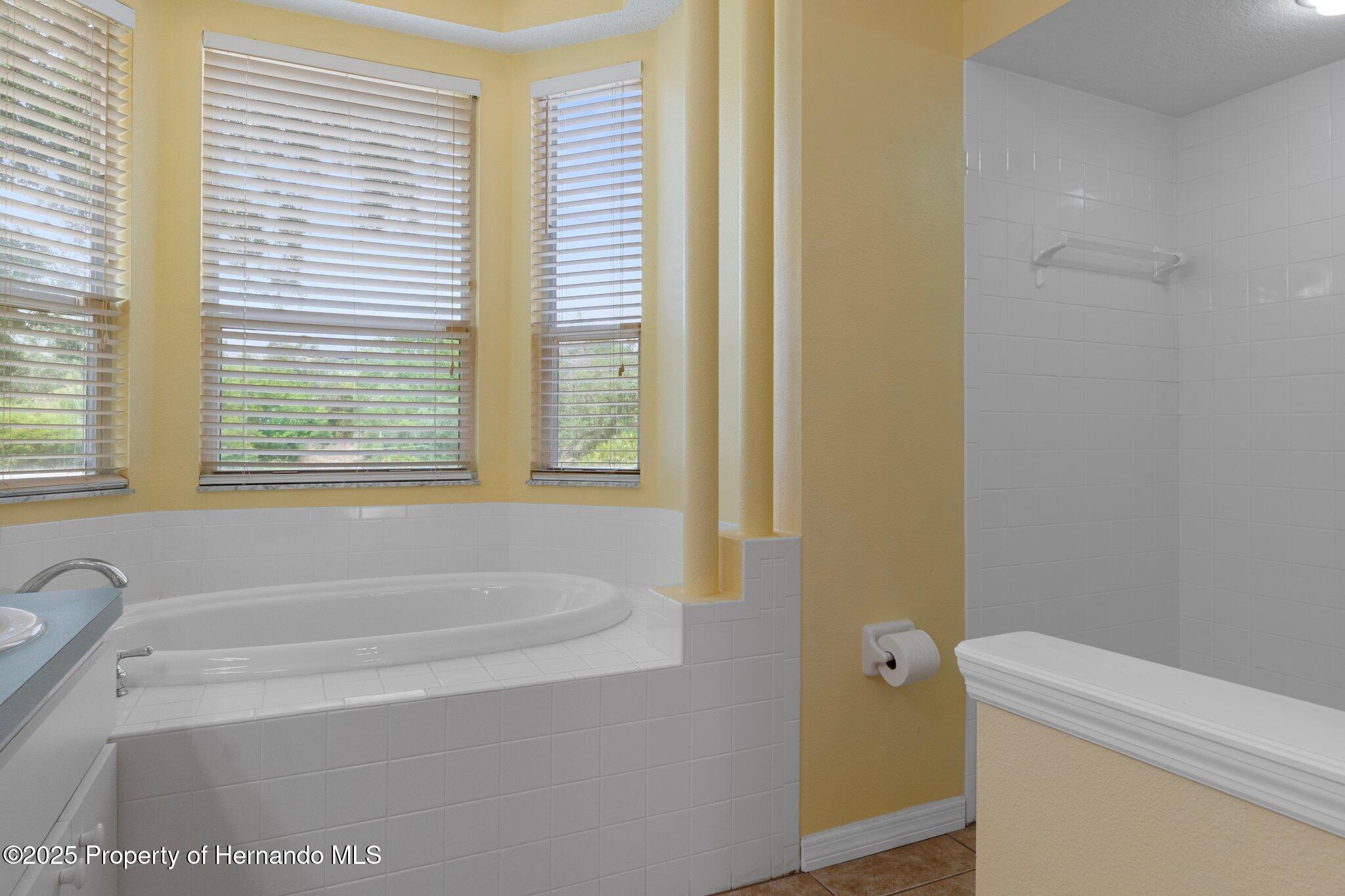 8382 Christopher Lane, Brooksville, Florida image 34