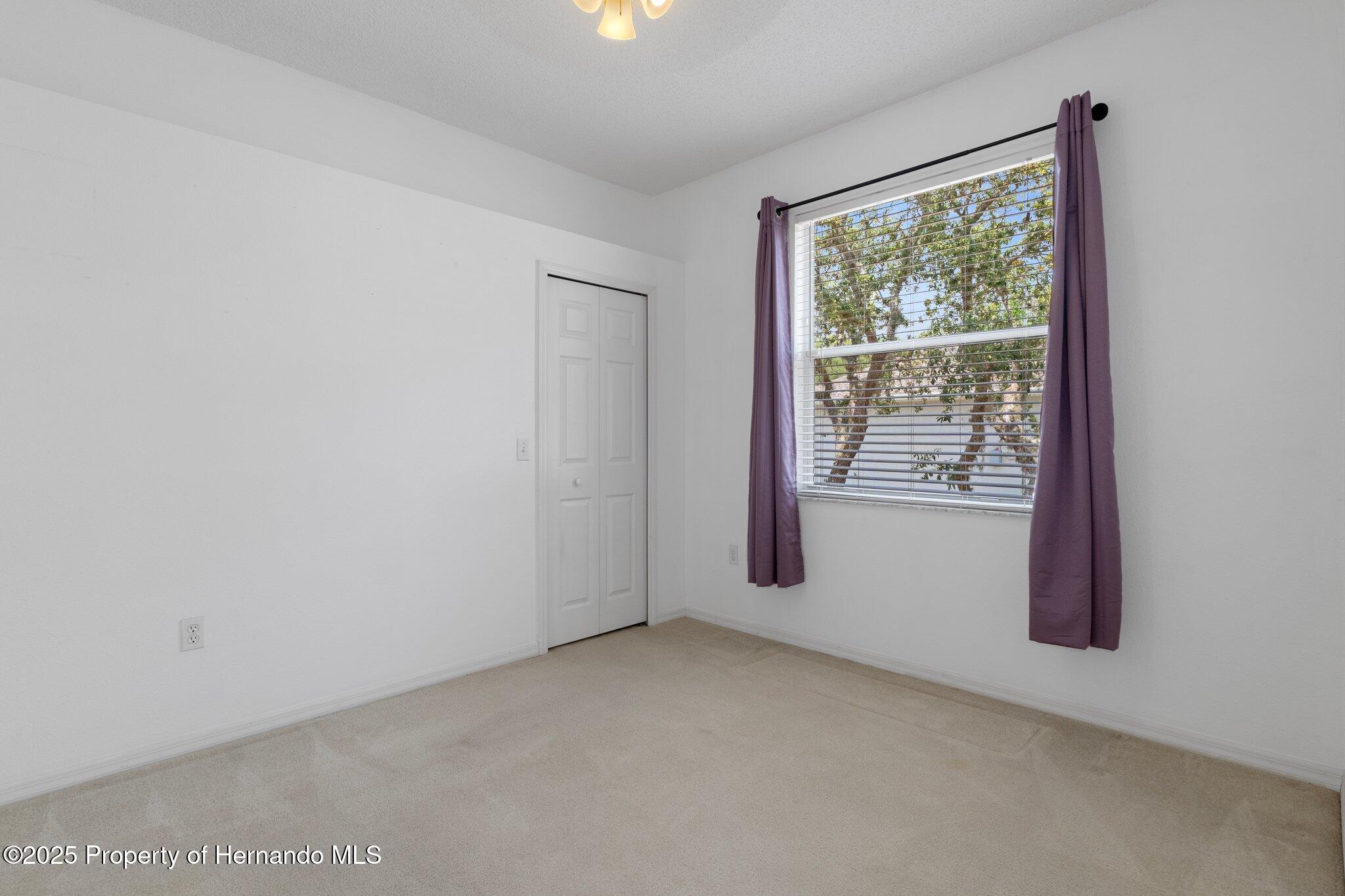 8382 Christopher Lane, Brooksville, Florida image 22