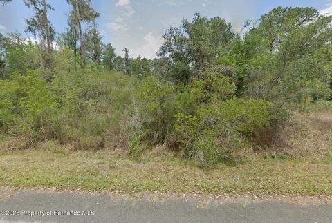Vacant Land For Sale - 9474 N Bonsai Avenue<br/> Crystal River, FL 34428