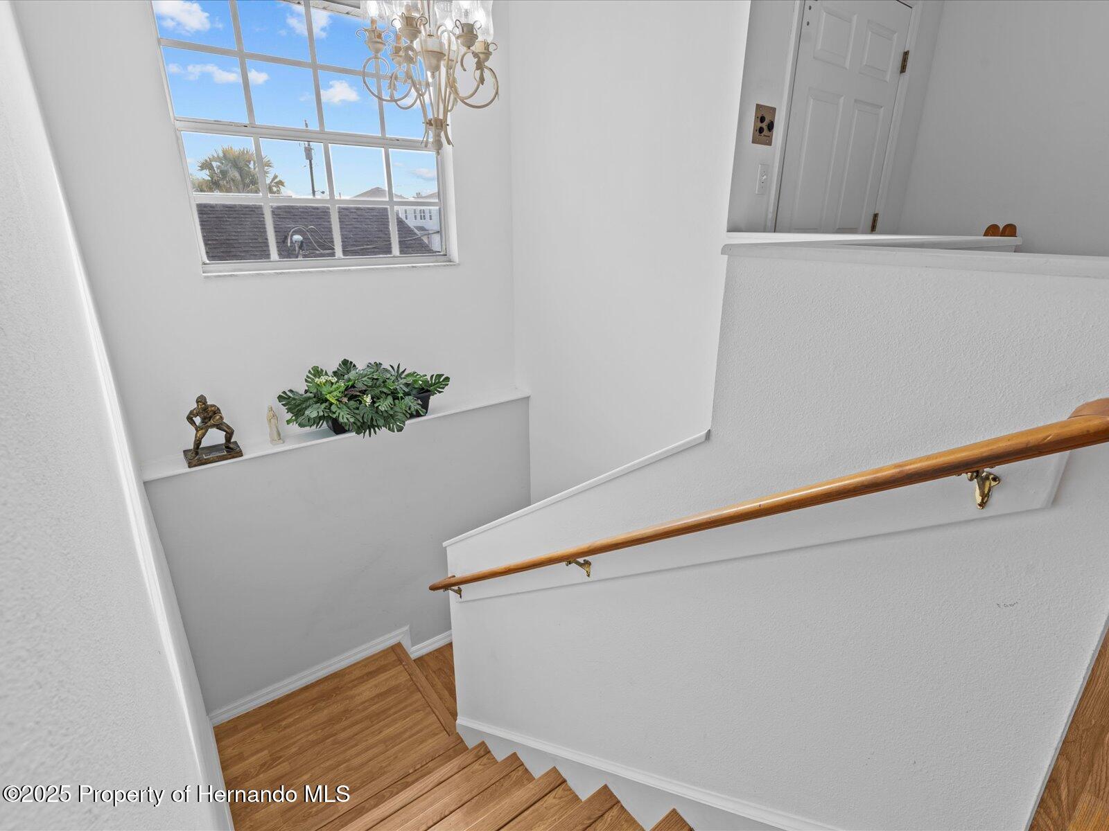 4225 Carlos Court, HERNANDO BEACH, Florida image 40