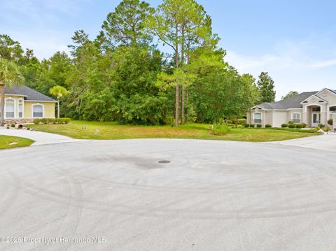 Vacant Land For Sale - 17 Woodlee Court<br/> Homosassa, FL 34446