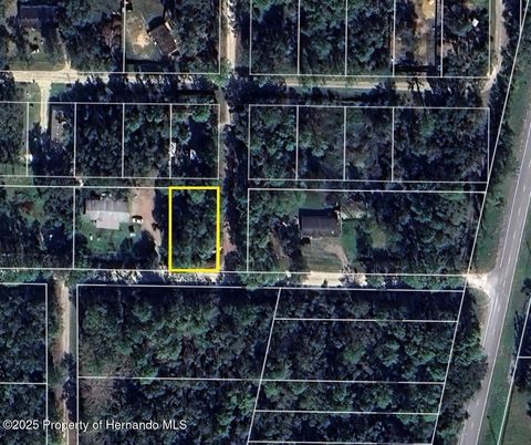 Vacant Land For Sale - Wilford Street<br/> Webster, FL 33597
