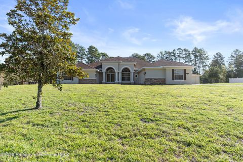 Homes For Sale - 10130 Lazy Days Court<br/> Weeki Wachee, FL 34613