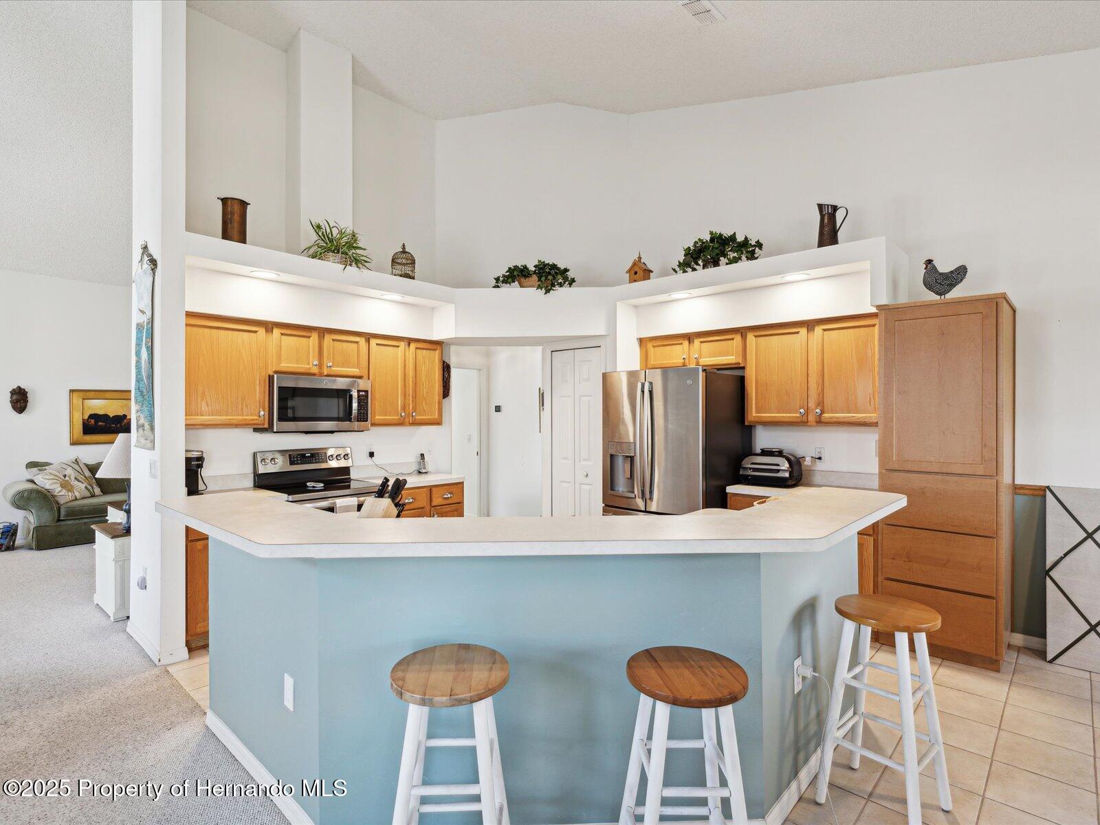 8013 Summerbreeze Terrace, Spring Hill, Florida image 20