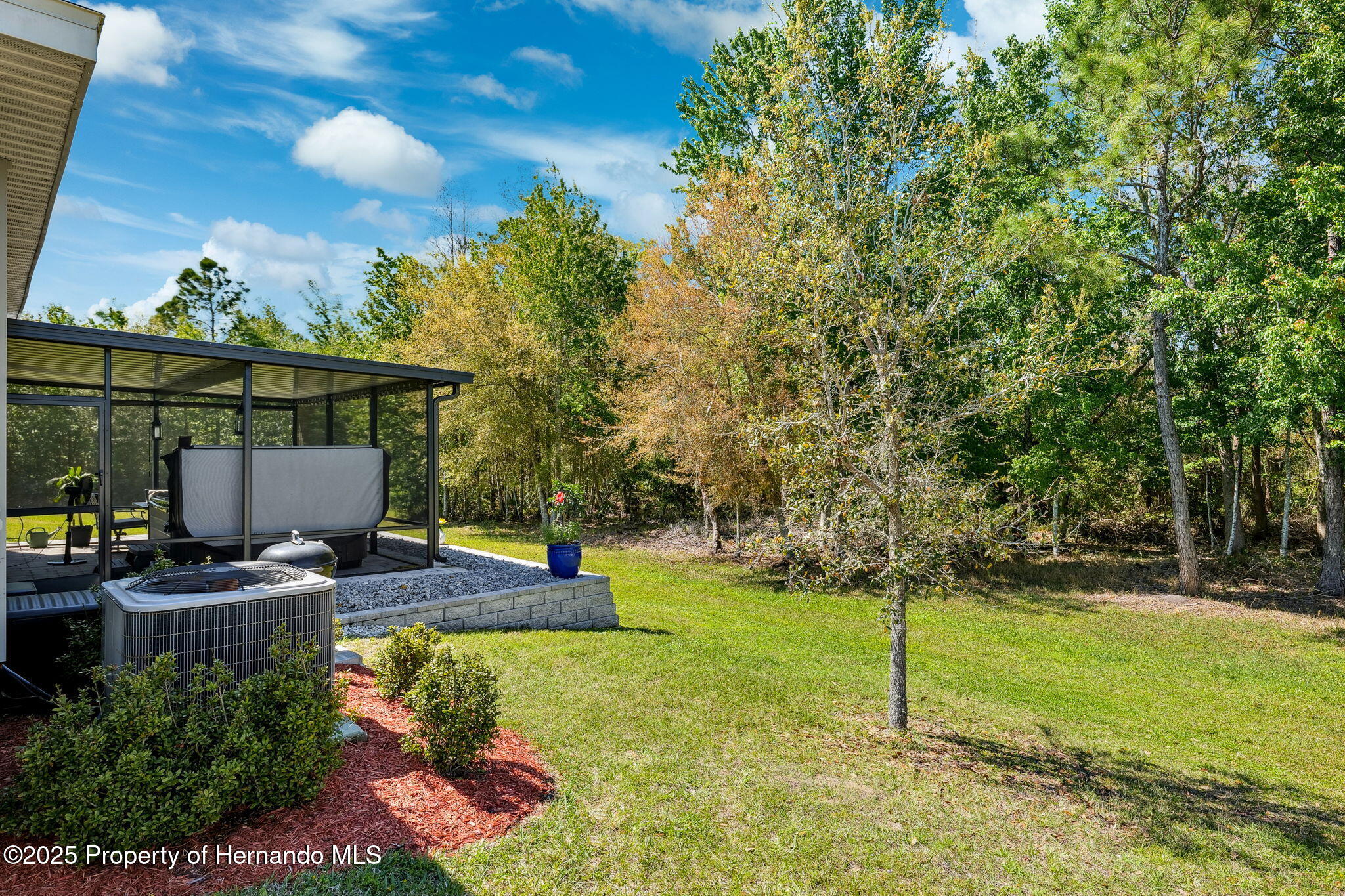 15793 Midnight Dove Court, Odessa, Florida image 48