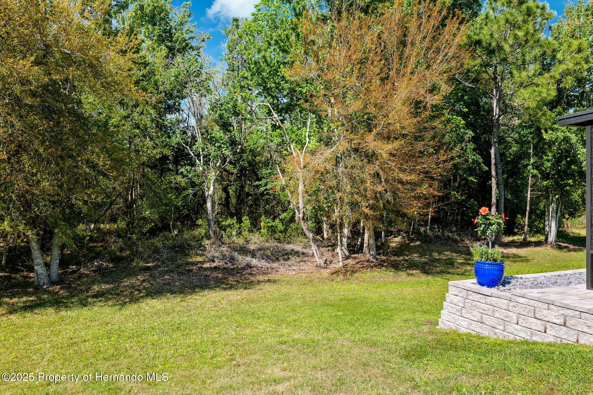 15793 Midnight Dove Court, Odessa, Florida image 49