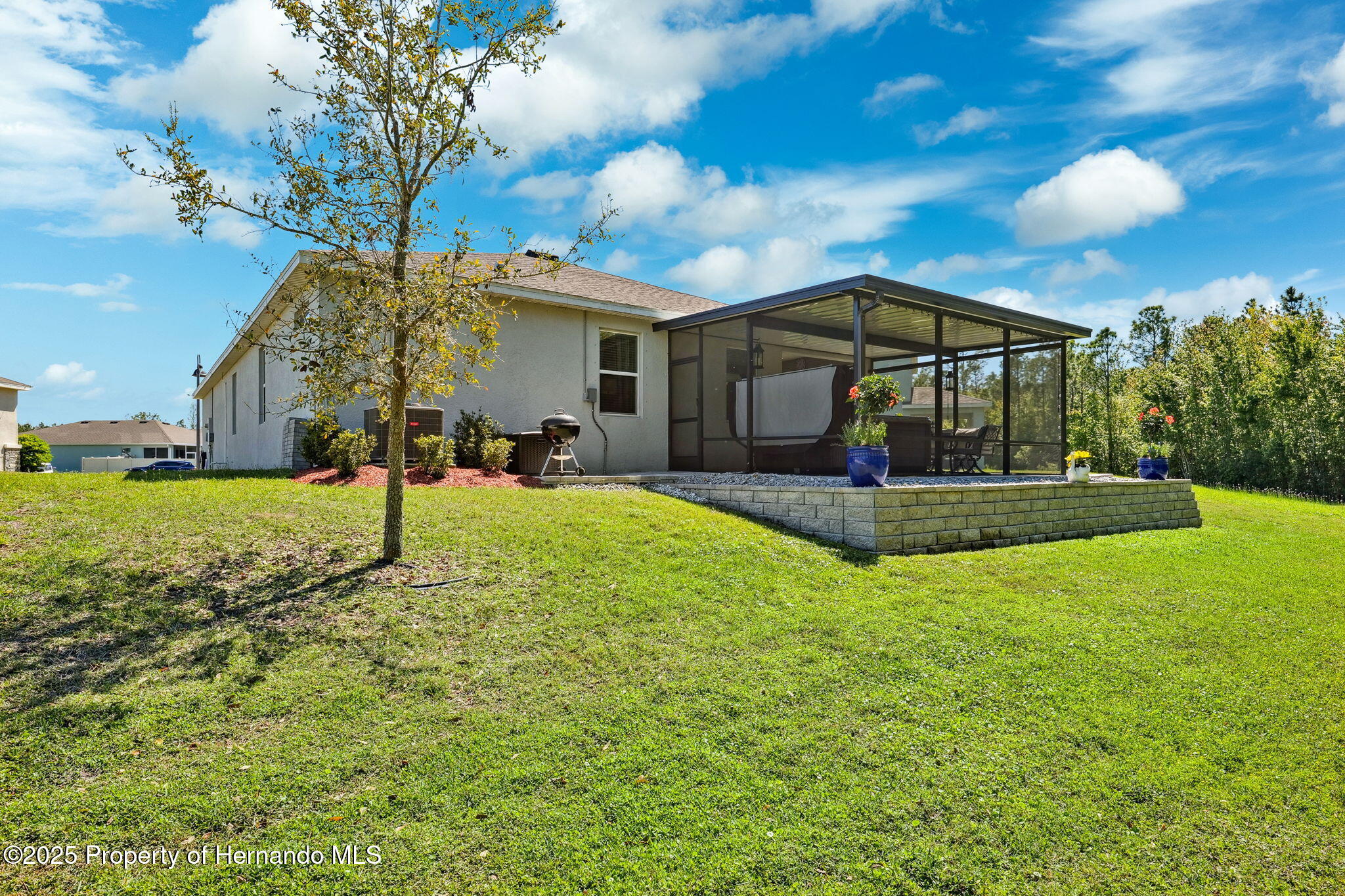 15793 Midnight Dove Court, Odessa, Florida image 47