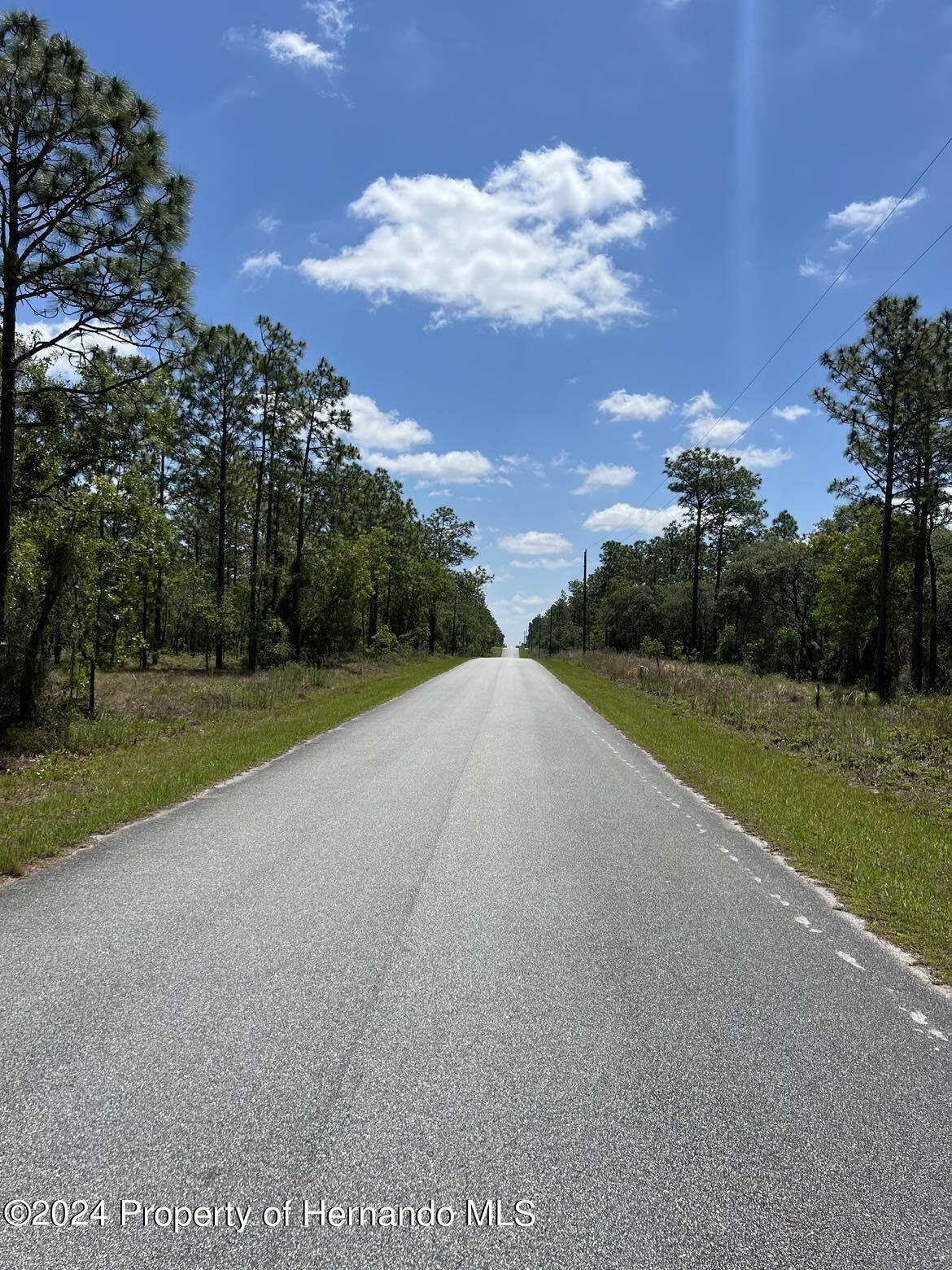 00 Nw Amberjack Avenue, Dunnellon, Florida image 3