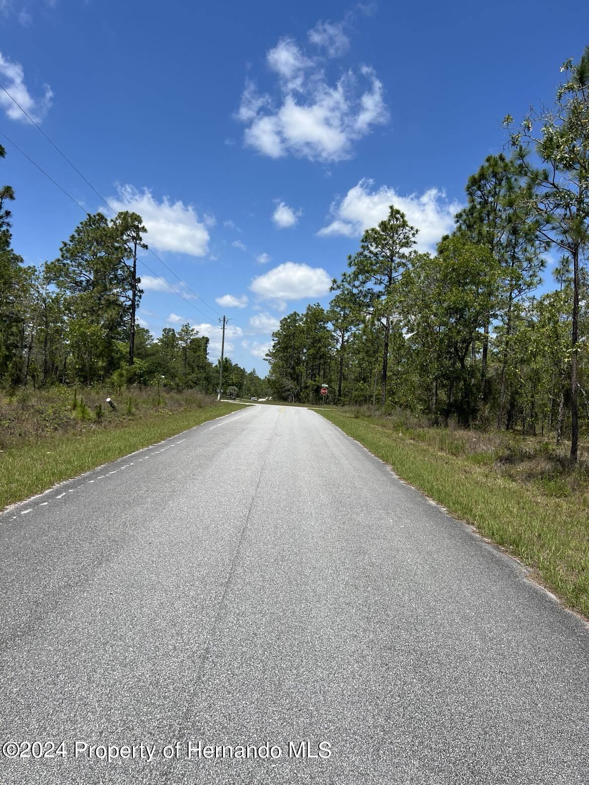 00 Nw Amberjack Avenue, Dunnellon, Florida image 4