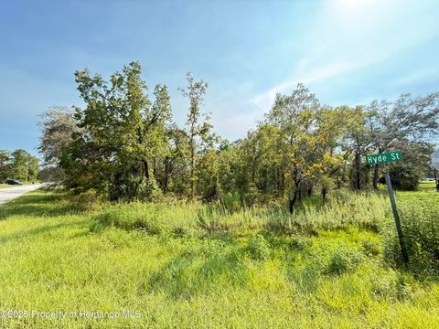 Vacant Land For Sale - Marsh Wren Avenue<br/> Weeki Wachee, FL 34614