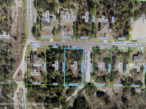 Vacant Land For Sale - Convent Garden Road<br/> Brooksville, FL 34613