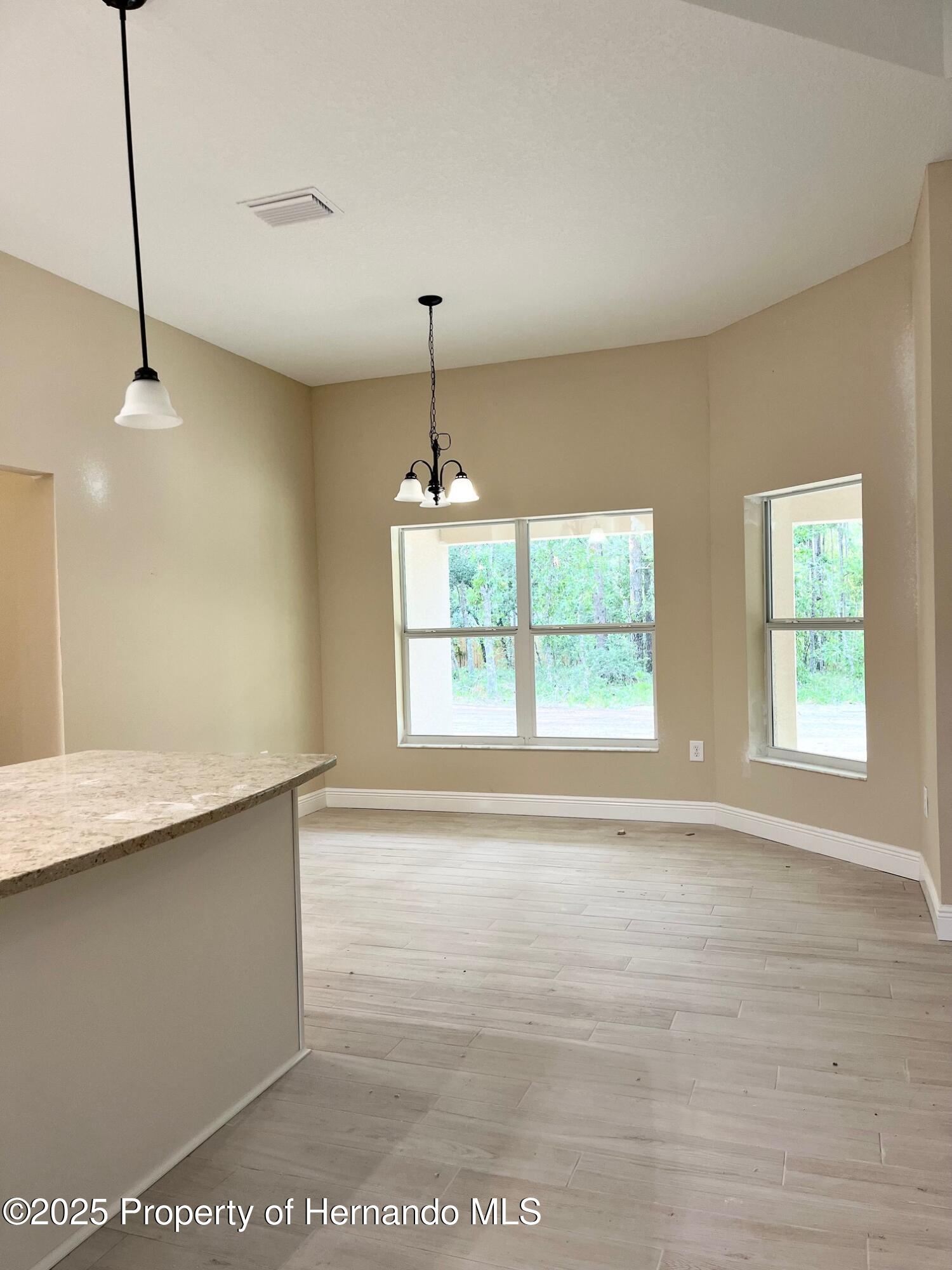 15450 Cliff Swallow Road, Brooksville, Florida image 6