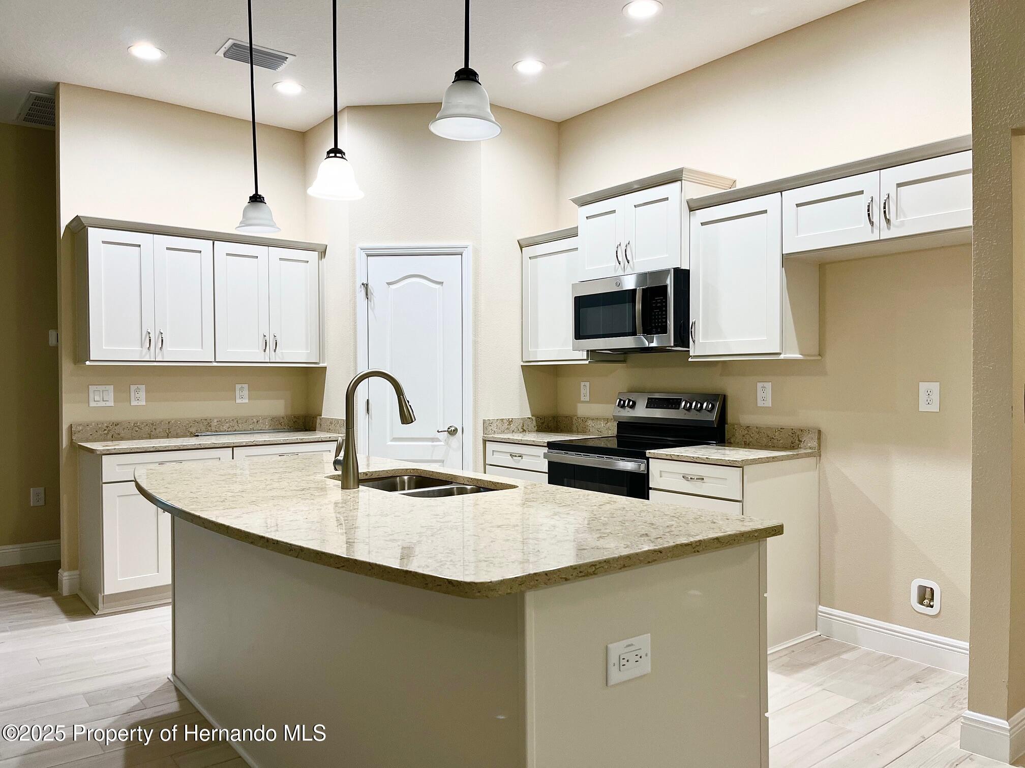 15450 Cliff Swallow Road, Brooksville, Florida image 2