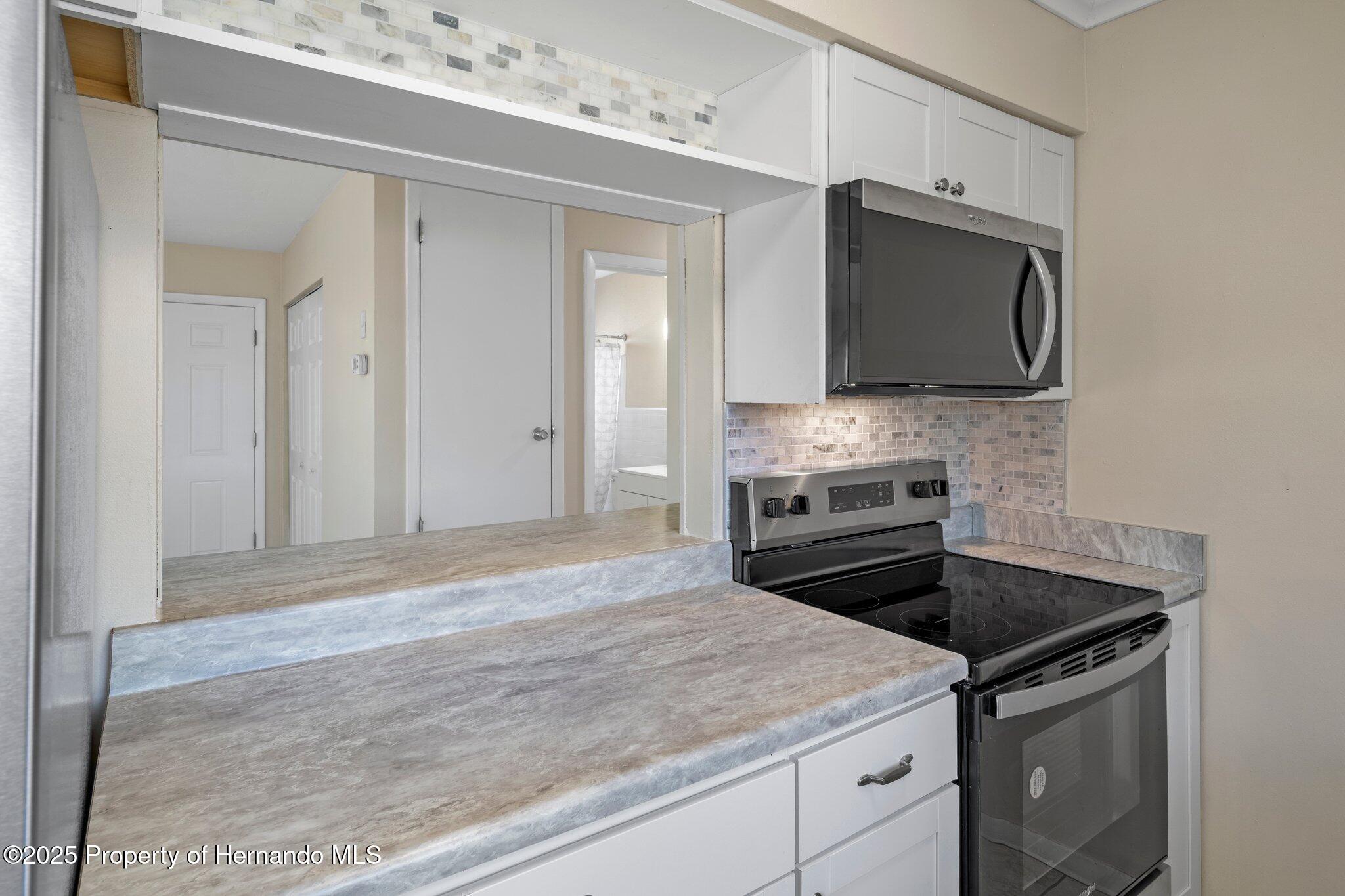 520 Copperfield Road, Spring Hill, Florida image 21