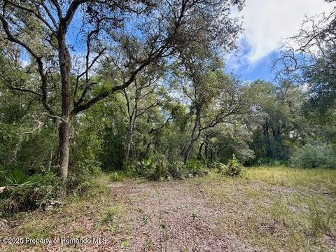 Vacant Land For Sale - Gresham Road<br/> Webster, FL 33597