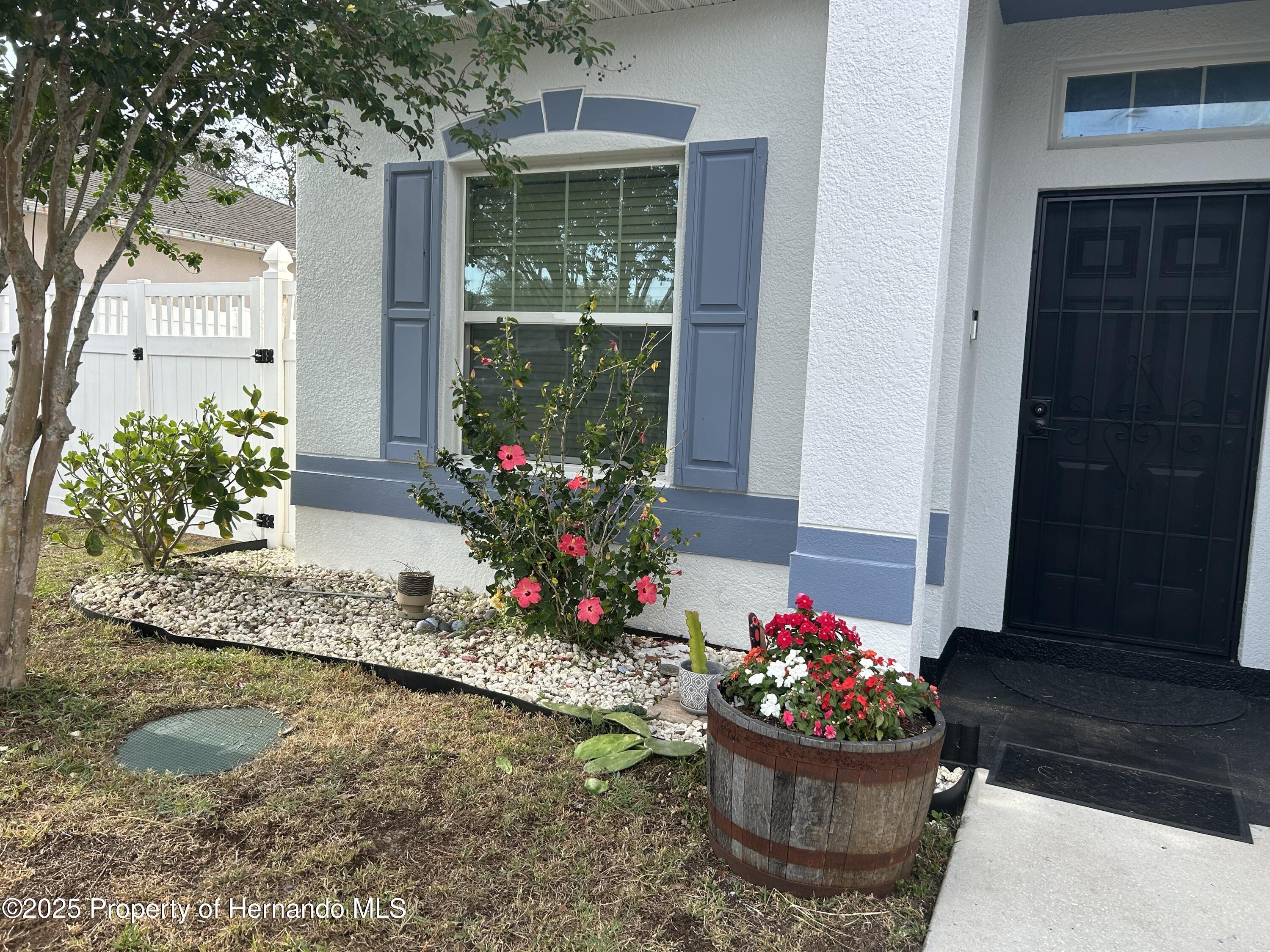 6273 Pinehurst Drive, Spring Hill, Florida image 3