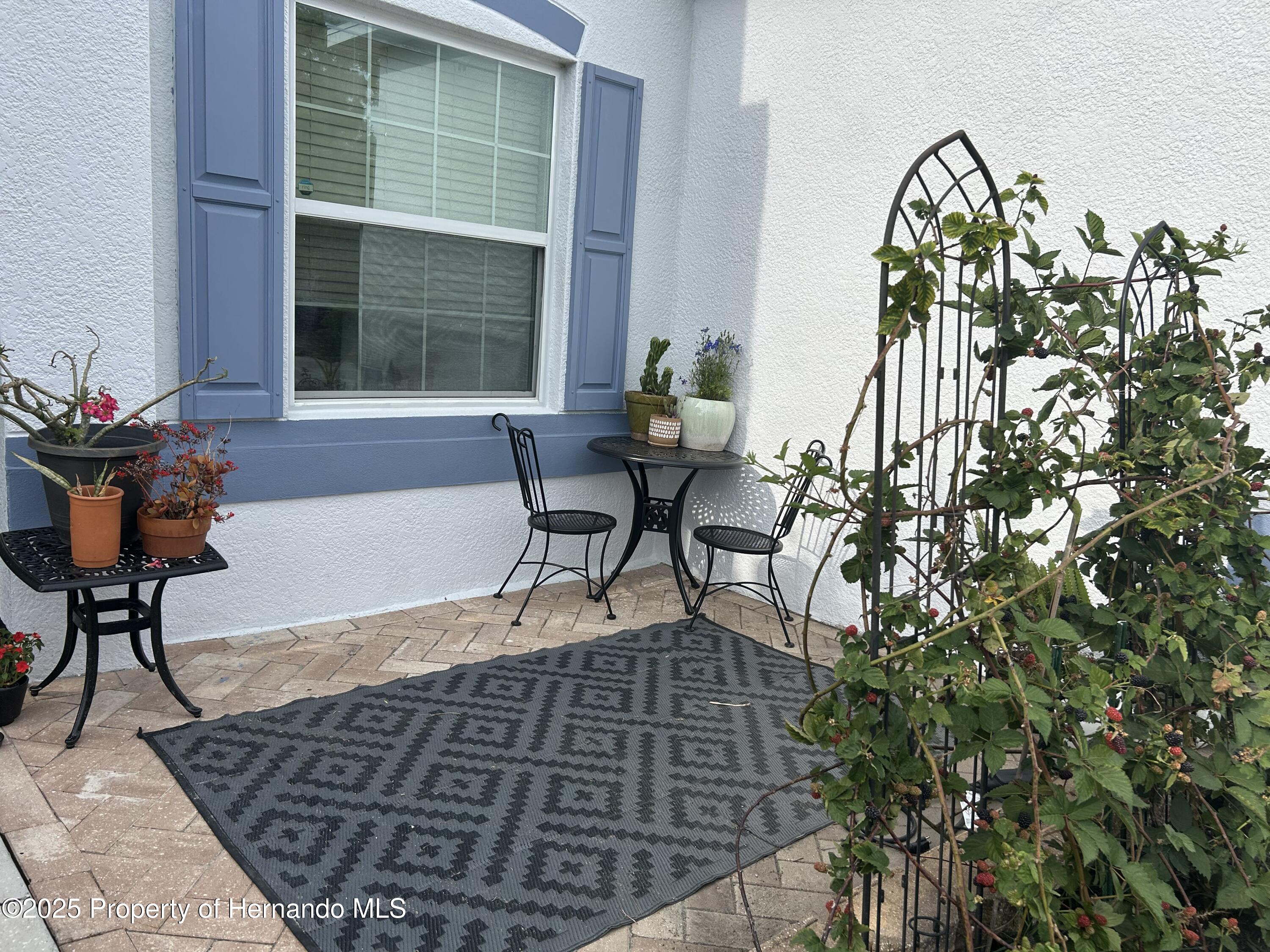 6273 Pinehurst Drive, Spring Hill, Florida image 2