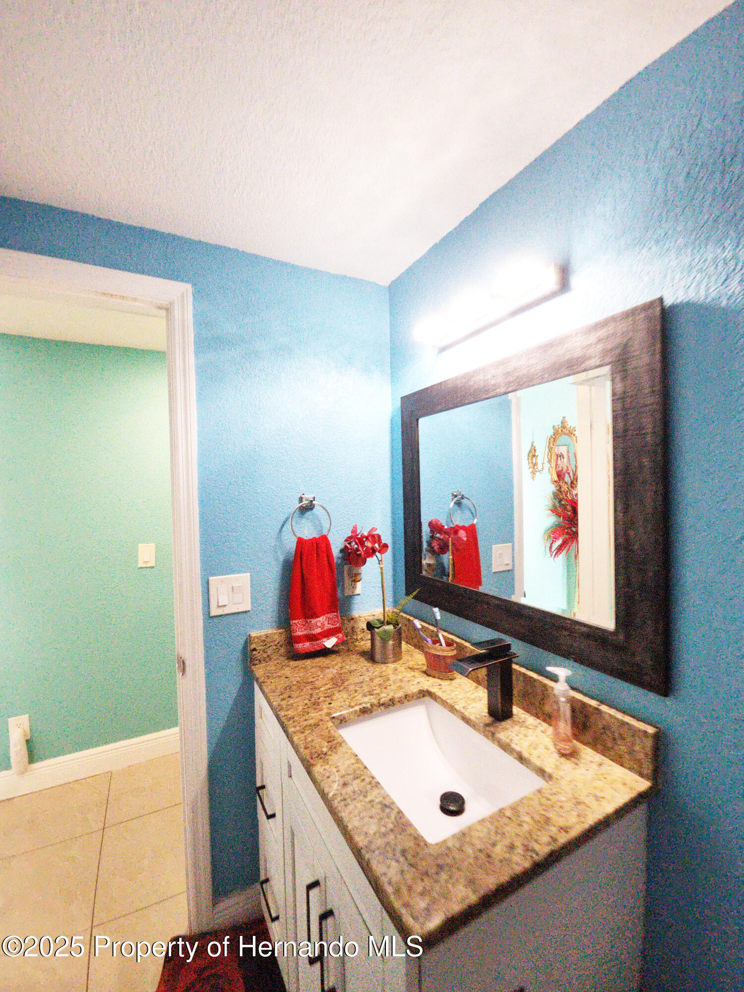 10101 Moores Mill Court, Tampa, Florida image 30