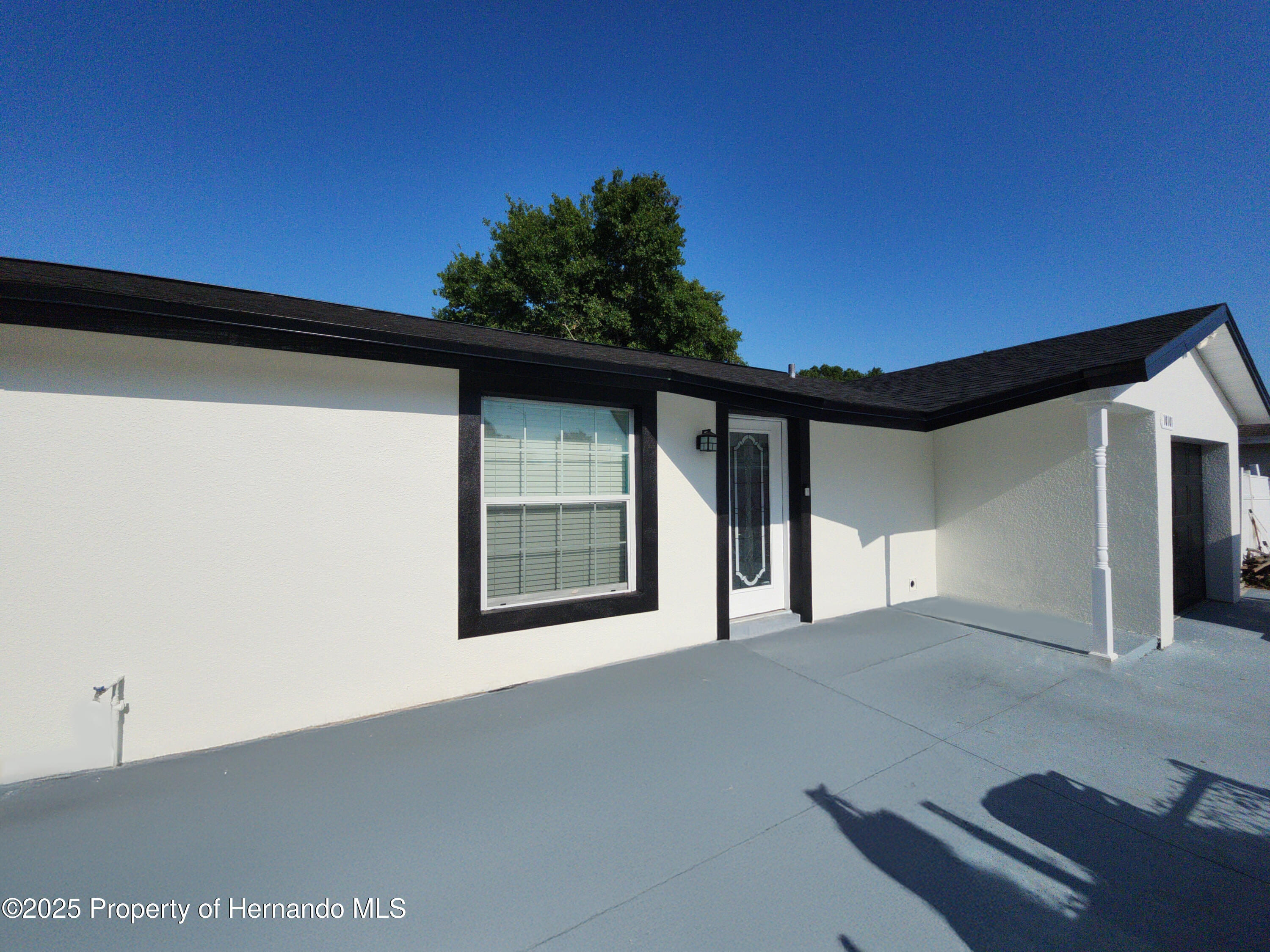 10101 Moores Mill Court, Tampa, Florida image 2