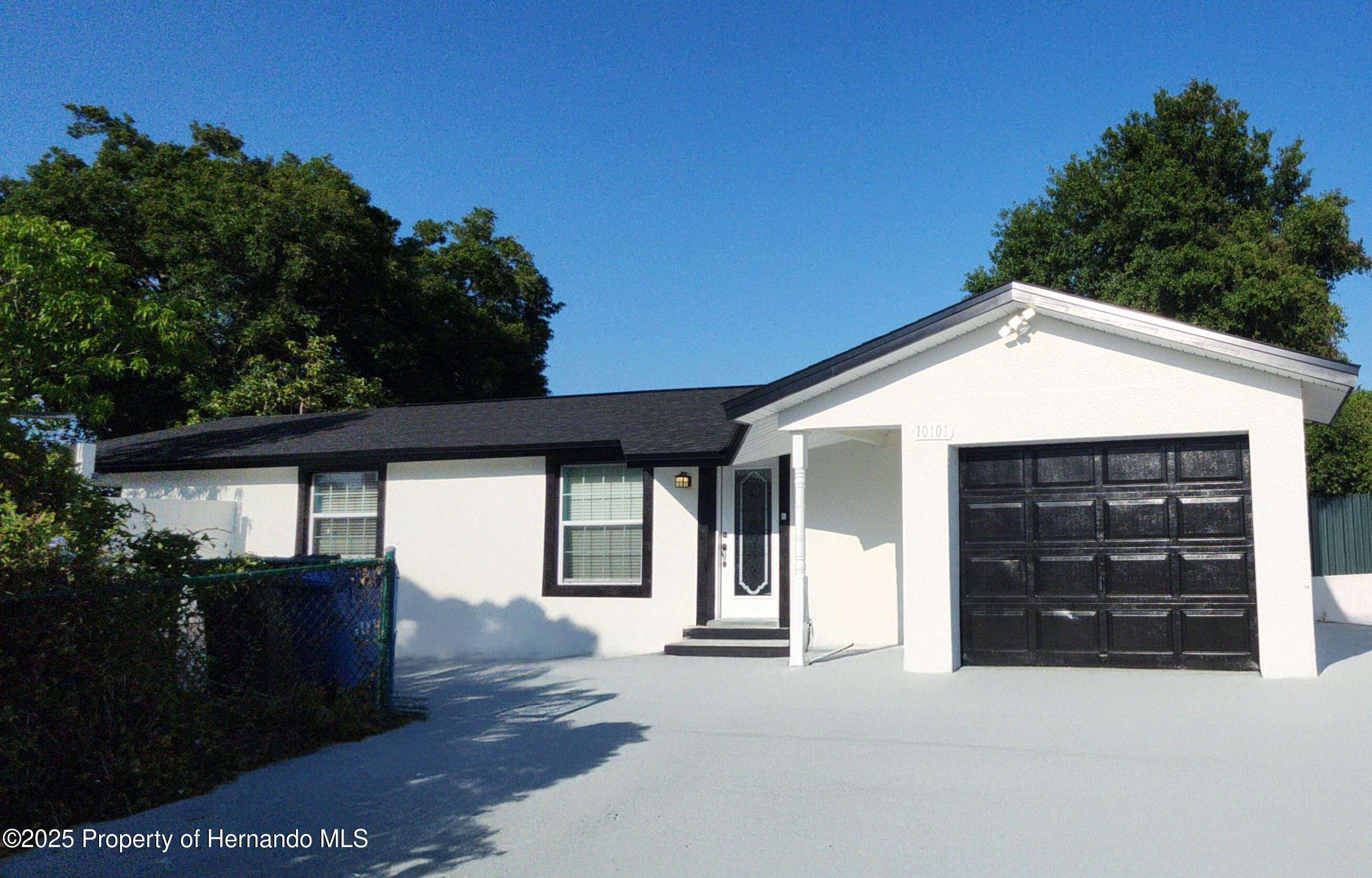 10101 Moores Mill Court, Tampa, Florida image 1