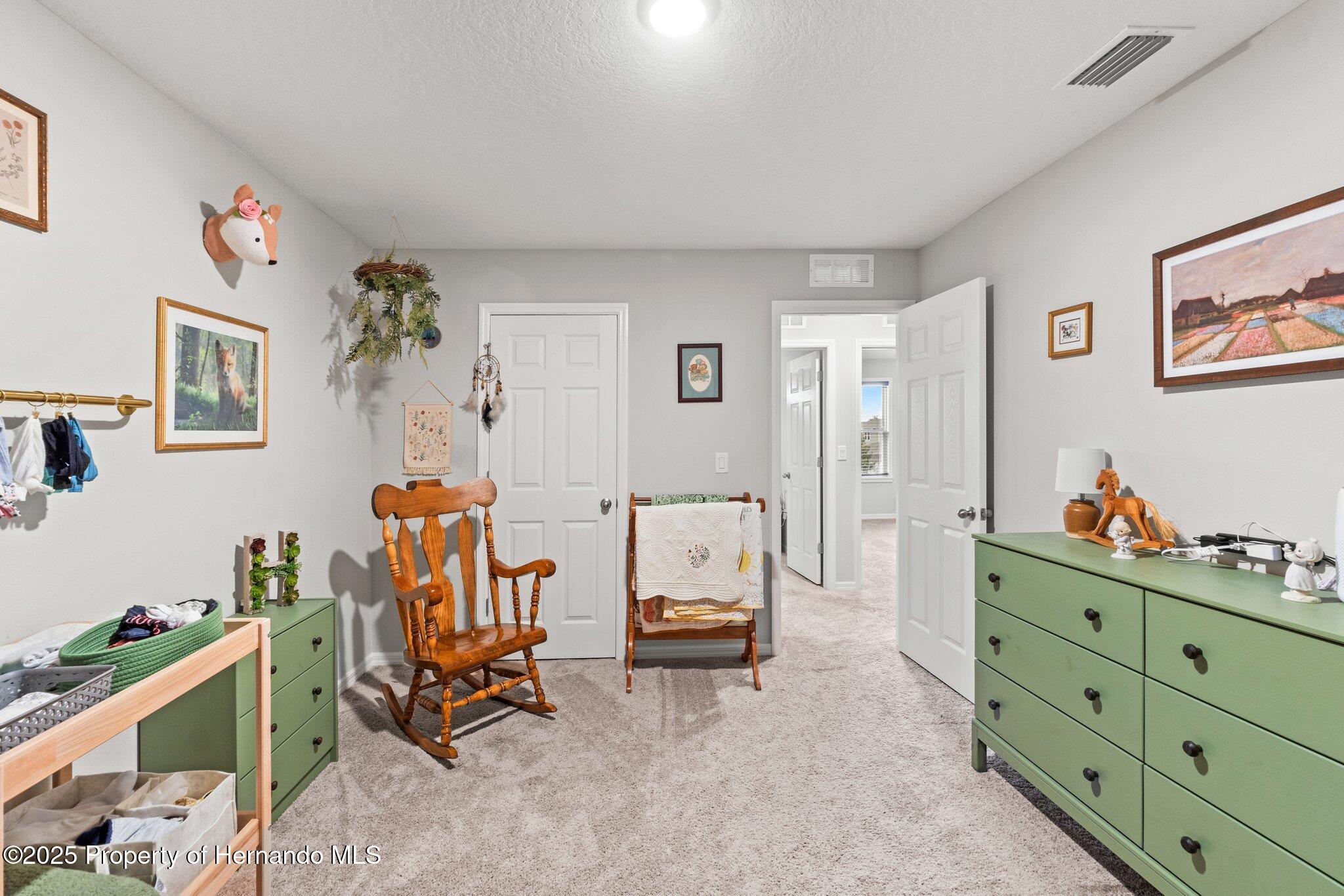 12804 Bent Twig Drive, Riverview, Florida image 39