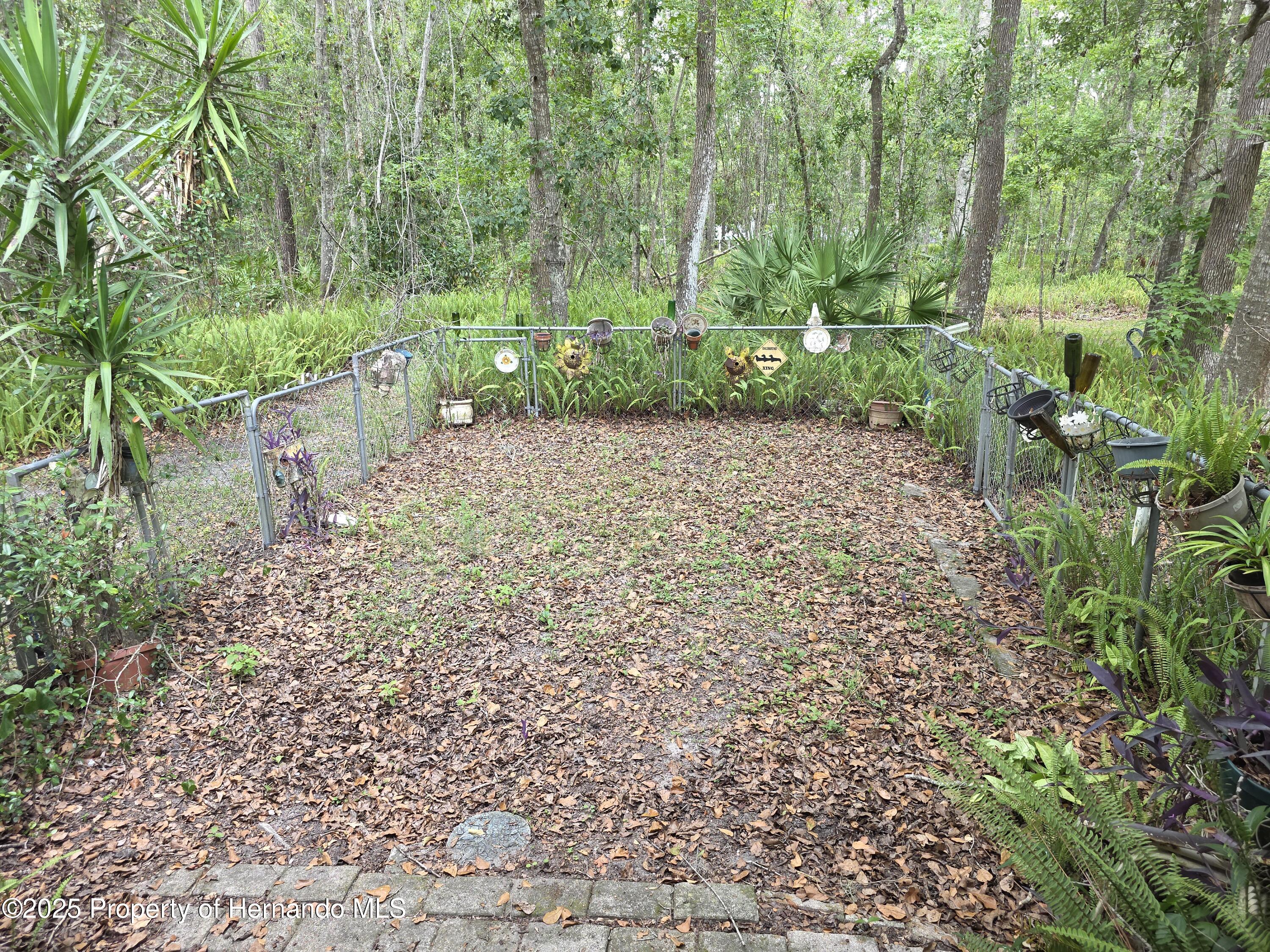 7323 Ray Browning Road, Brooksville, Florida image 39