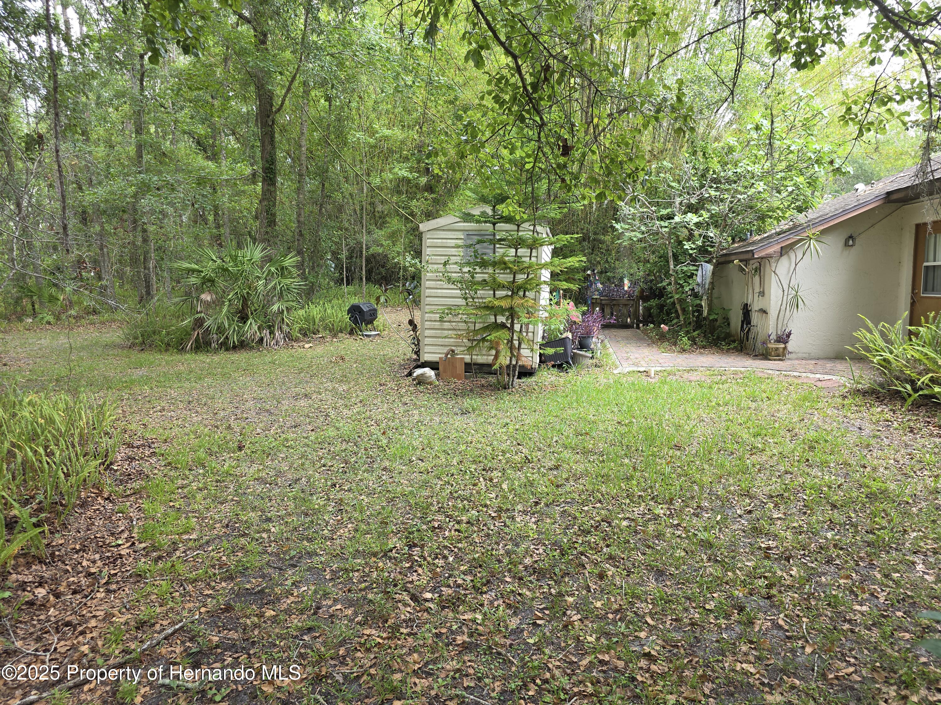 7323 Ray Browning Road, Brooksville, Florida image 40