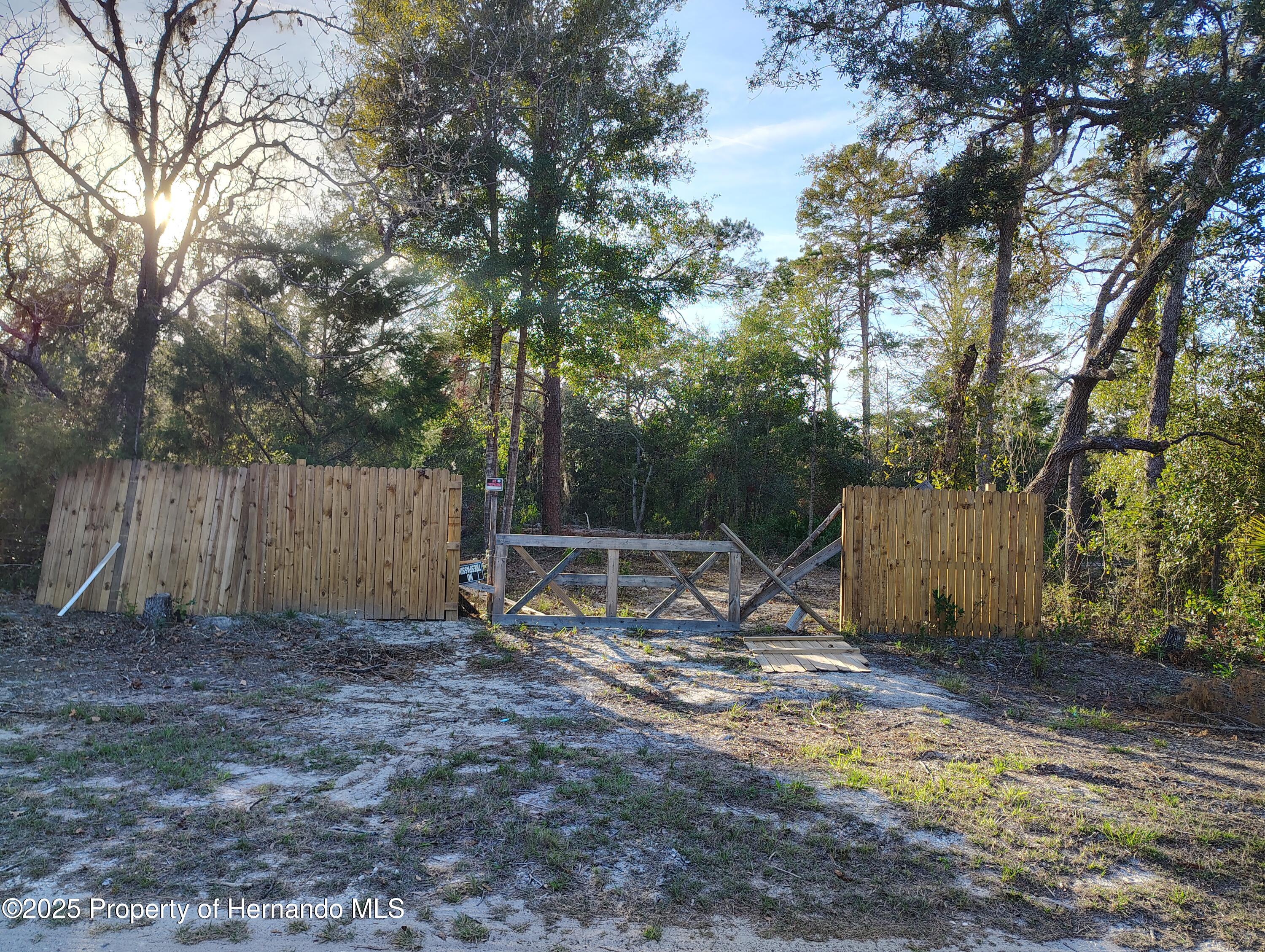 Dansville Drive, Shady Hills, Florida image 1