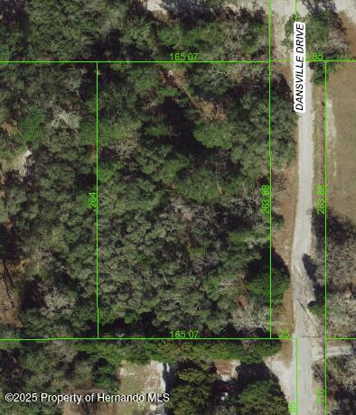 Dansville Drive, Shady Hills, Florida image 2