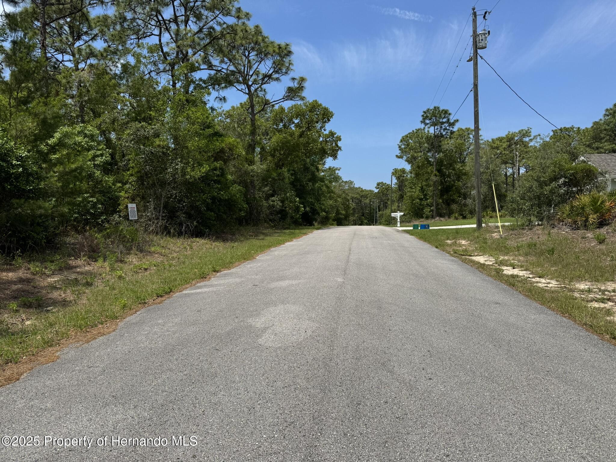 Lot 77 Waterbird Way, Weeki Wachee, Florida image 3