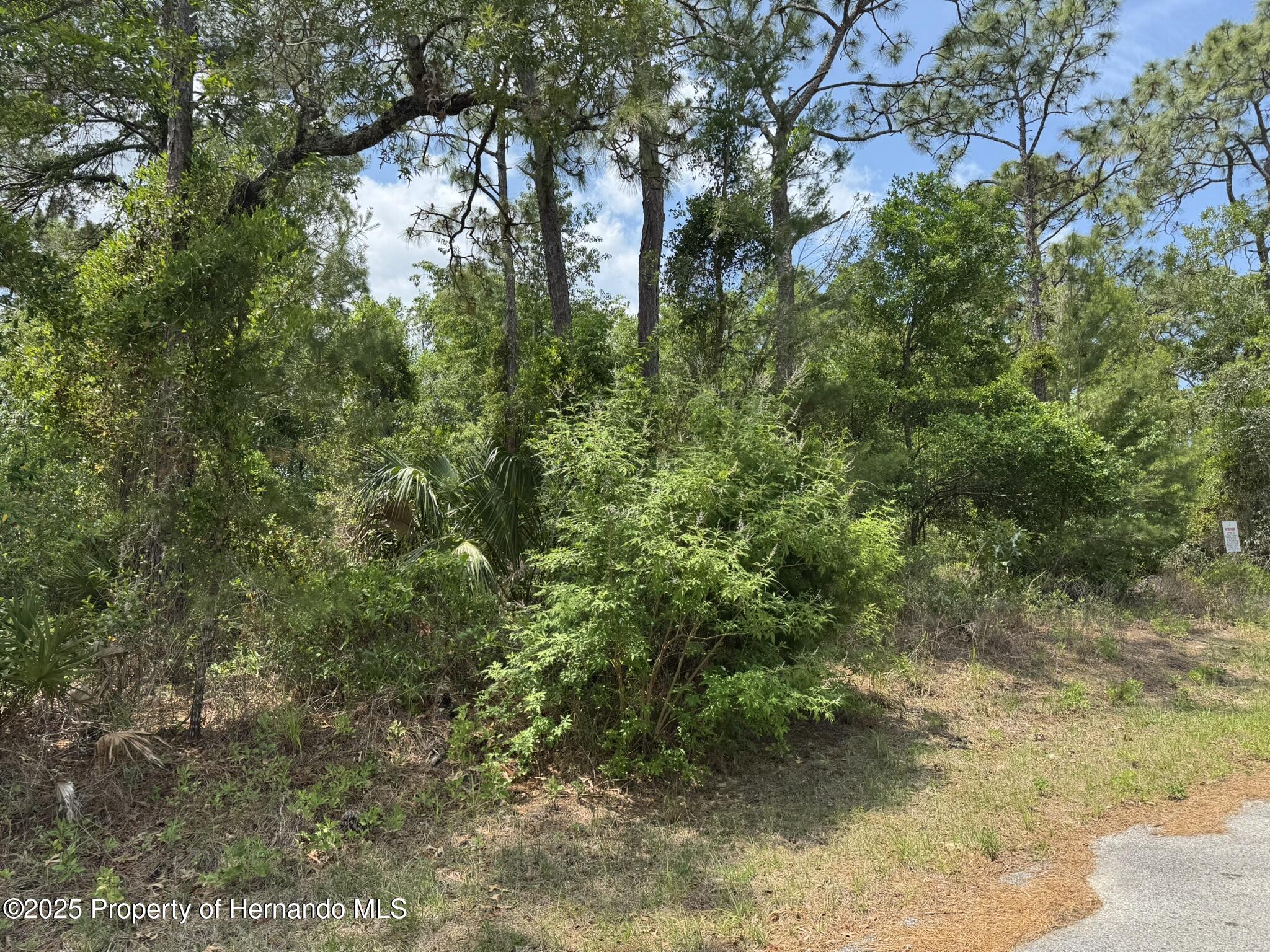Lot 77 Waterbird Way, Weeki Wachee, Florida image 4