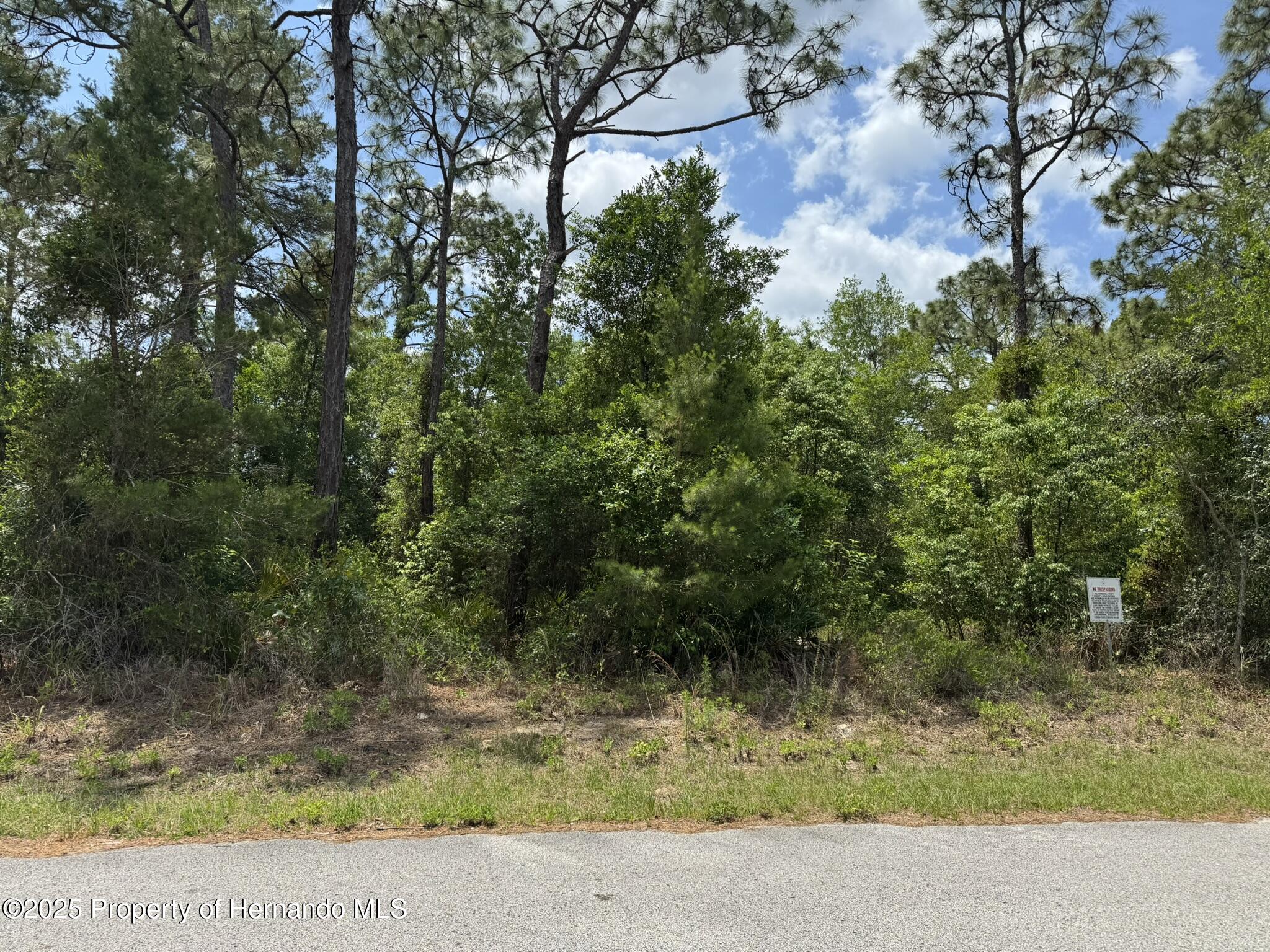 Lot 77 Waterbird Way, Weeki Wachee, Florida image 1
