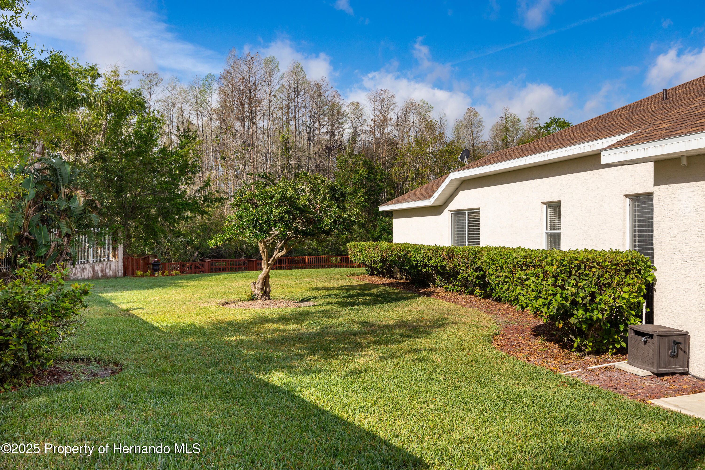 21312 Preservation Drive, LAND O LAKES, Florida image 45