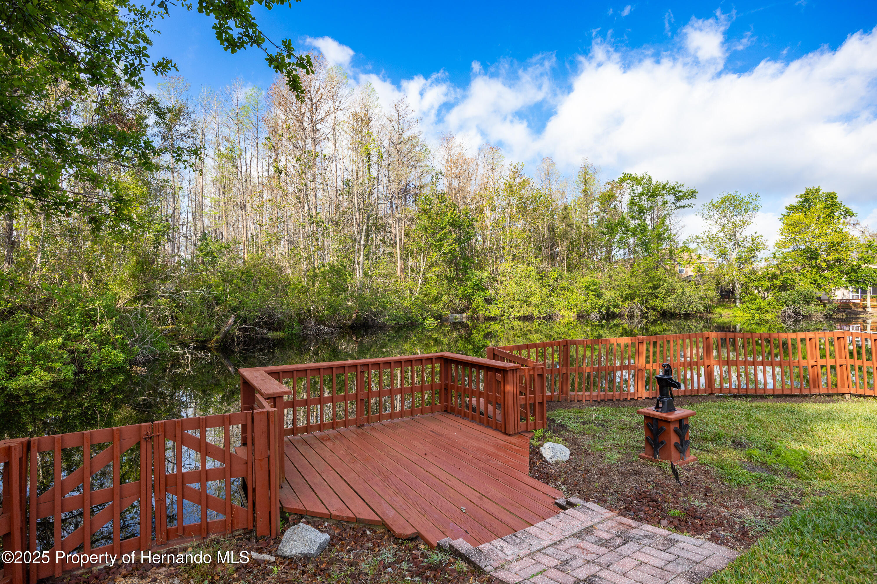 21312 Preservation Drive, LAND O LAKES, Florida image 50