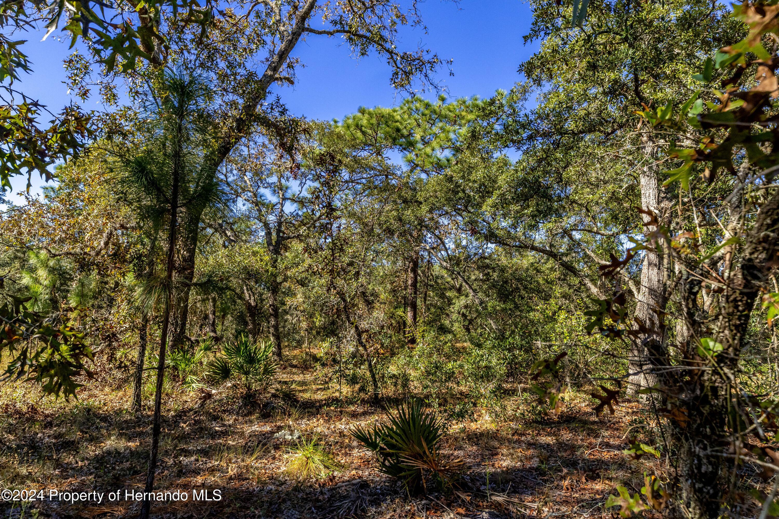 Maryland -lot 1 Avenue, Brooksville, Florida image 6