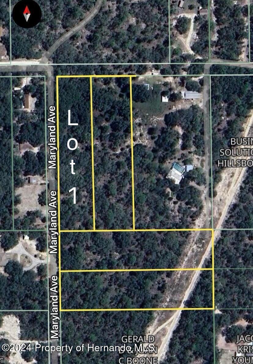 Maryland -lot 1 Avenue, Brooksville, Florida image 1