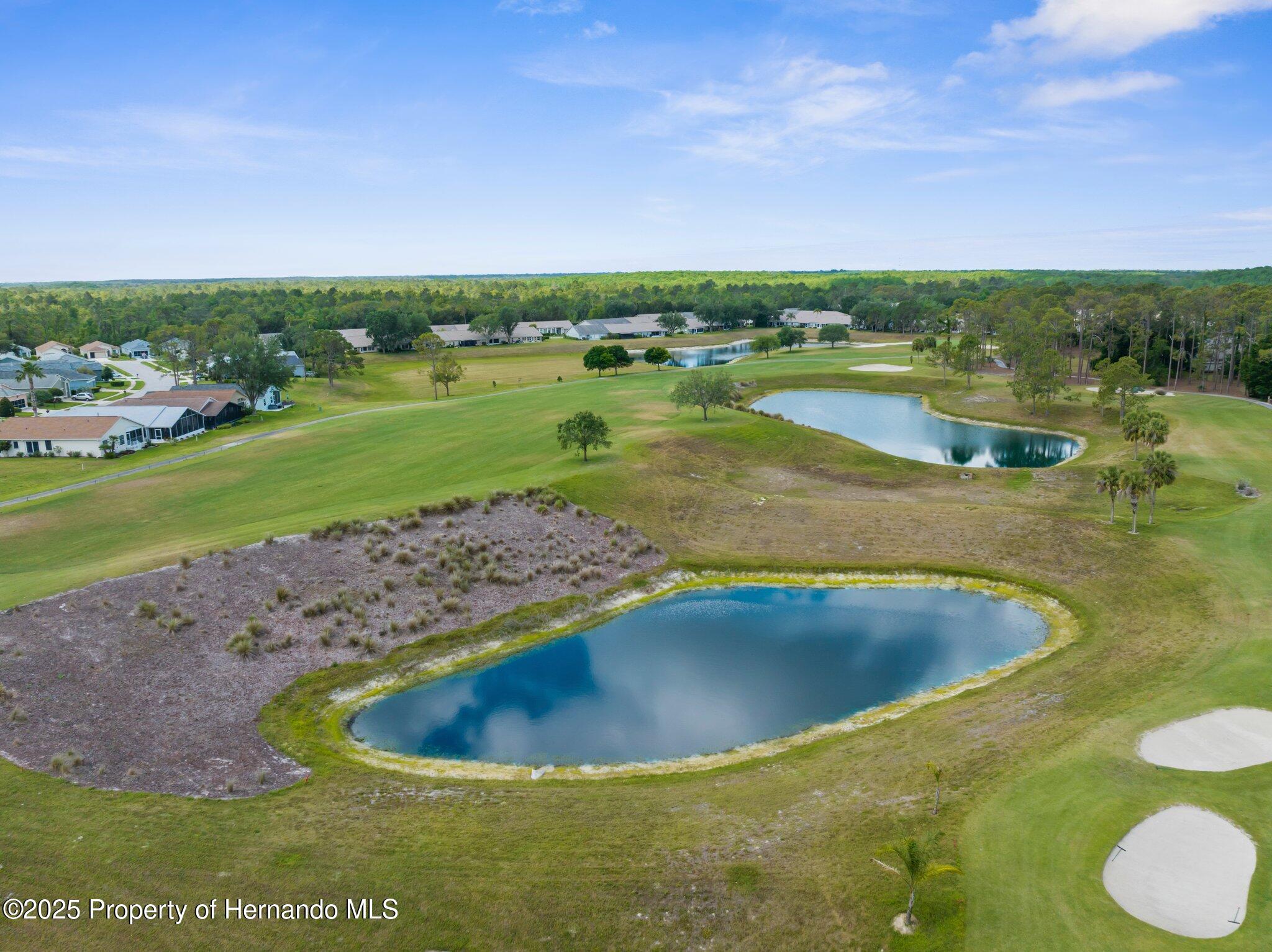 18209 Breland Drive, Hudson, Florida image 32